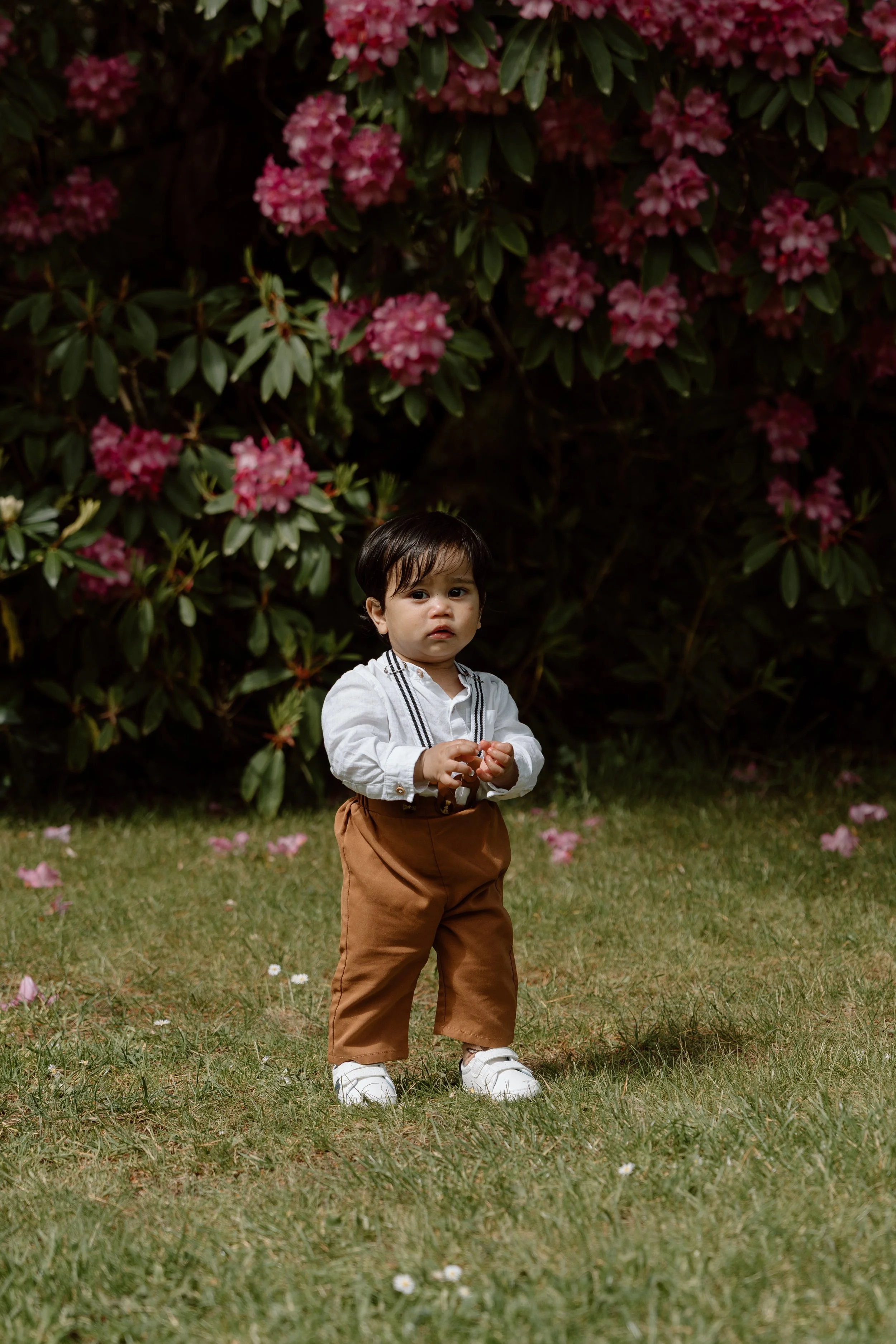 muckross_killarney_family_photographer_37.jpg