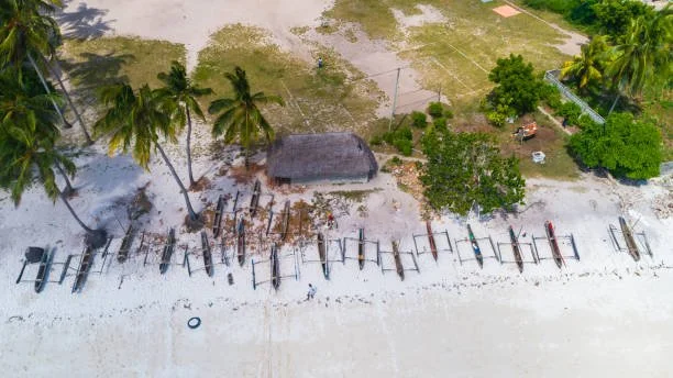 Kizimkazi Beach 11.jpeg