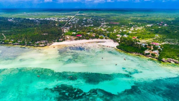 Kizimkazi Beach 2.jpeg