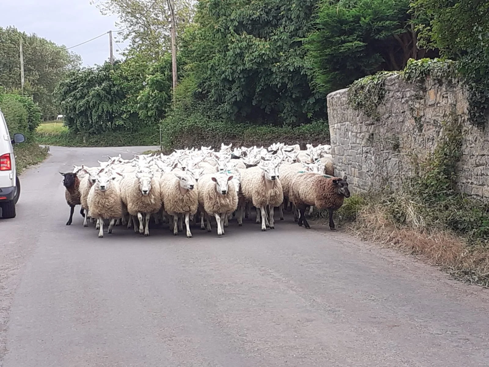 WhatsApp Image 2024-06-11 at 18.23.42.jpeg