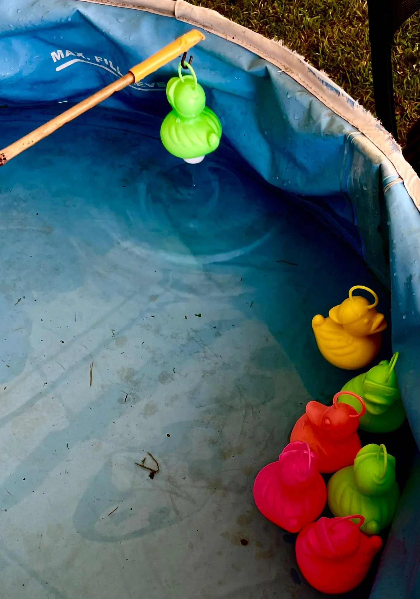 WhatsApp Image 2024-05-26 at 20.16.03.jpeg