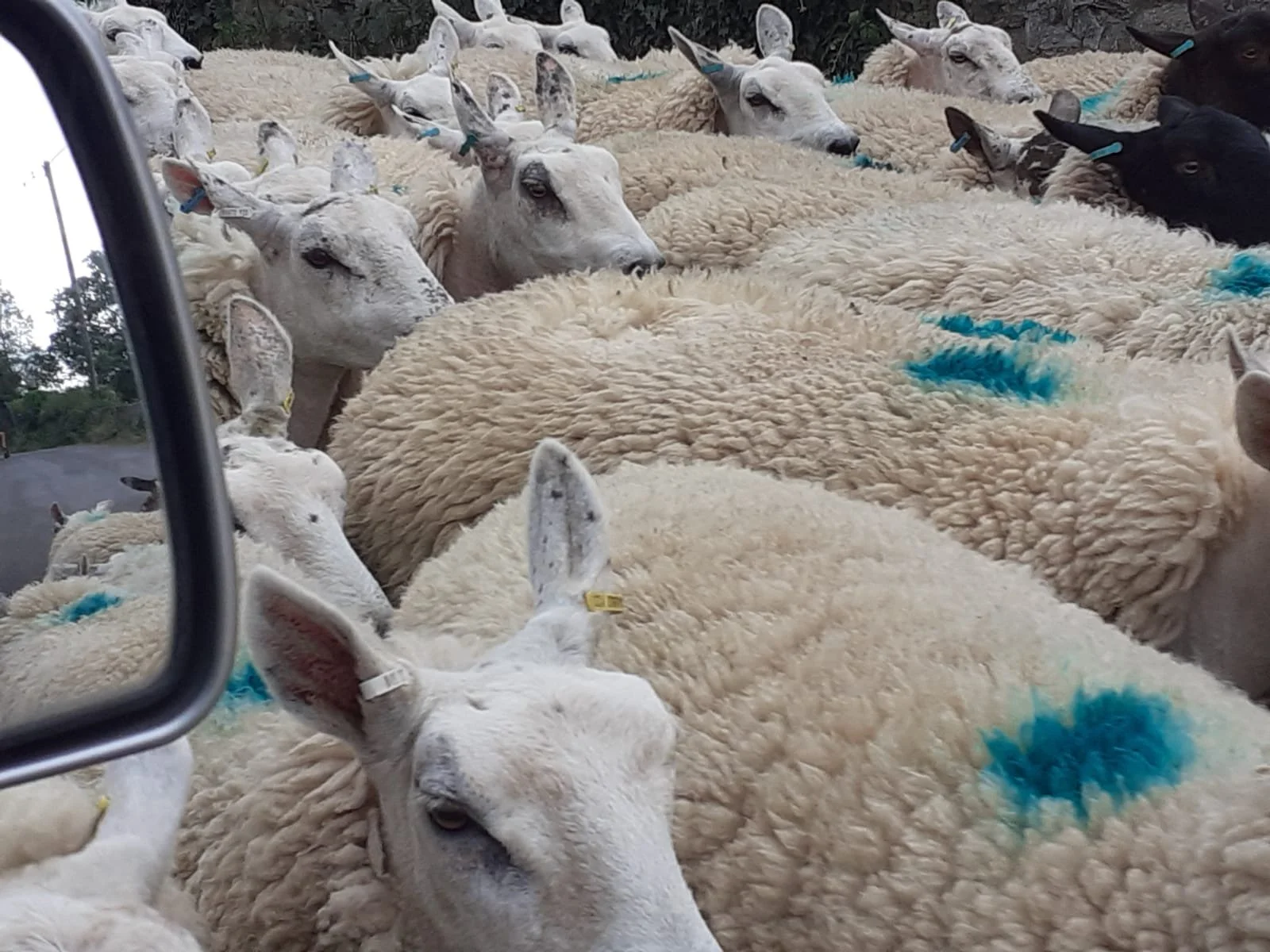 WhatsApp Image 2024-06-11 at 18.23.41 (1).jpeg