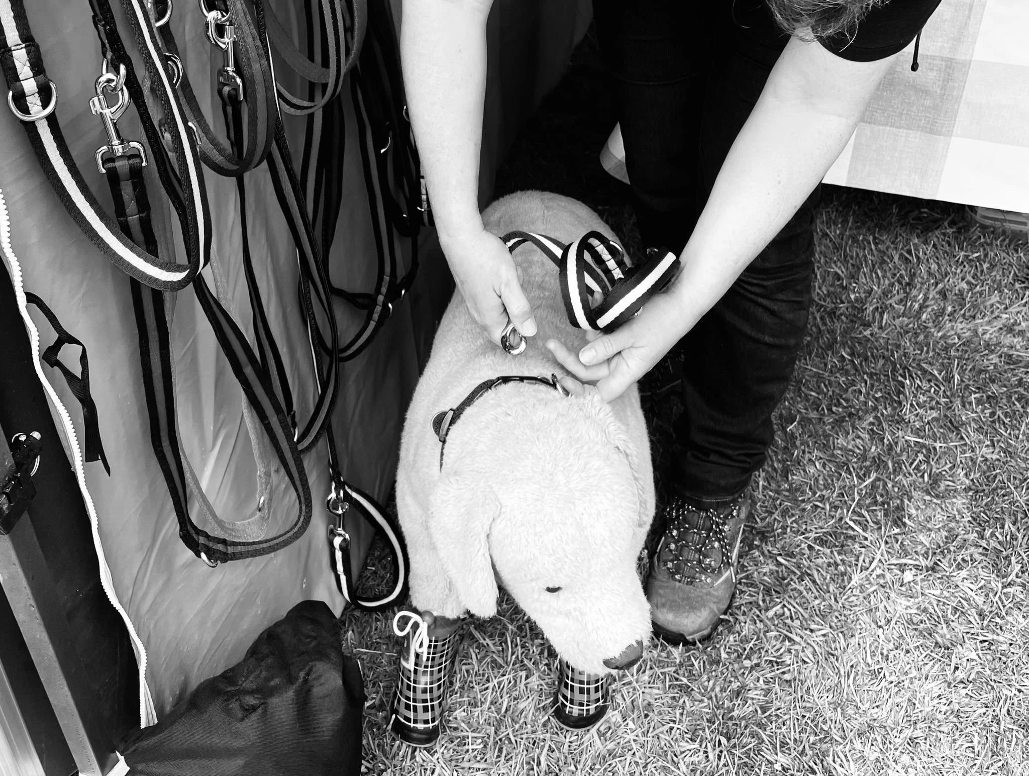 WhatsApp Image 2024-05-26 at 20.16.03 (1).jpeg