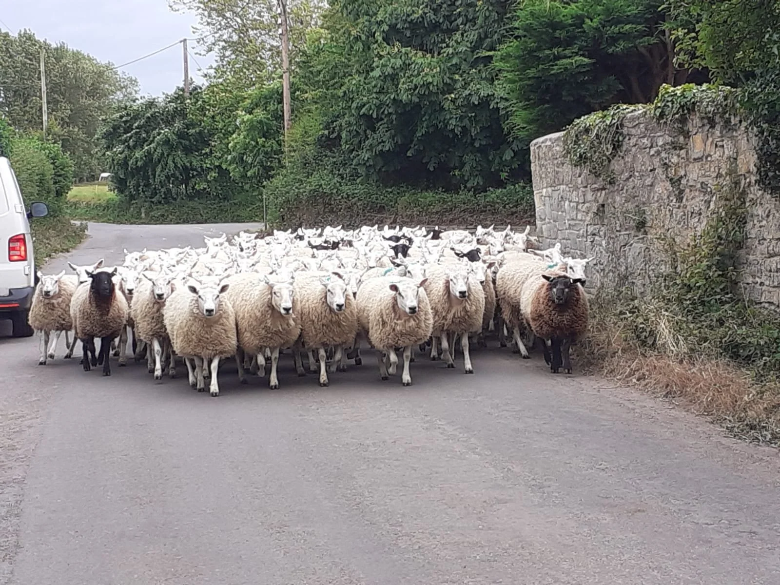 WhatsApp Image 2024-06-11 at 18.23.42 (1).jpeg