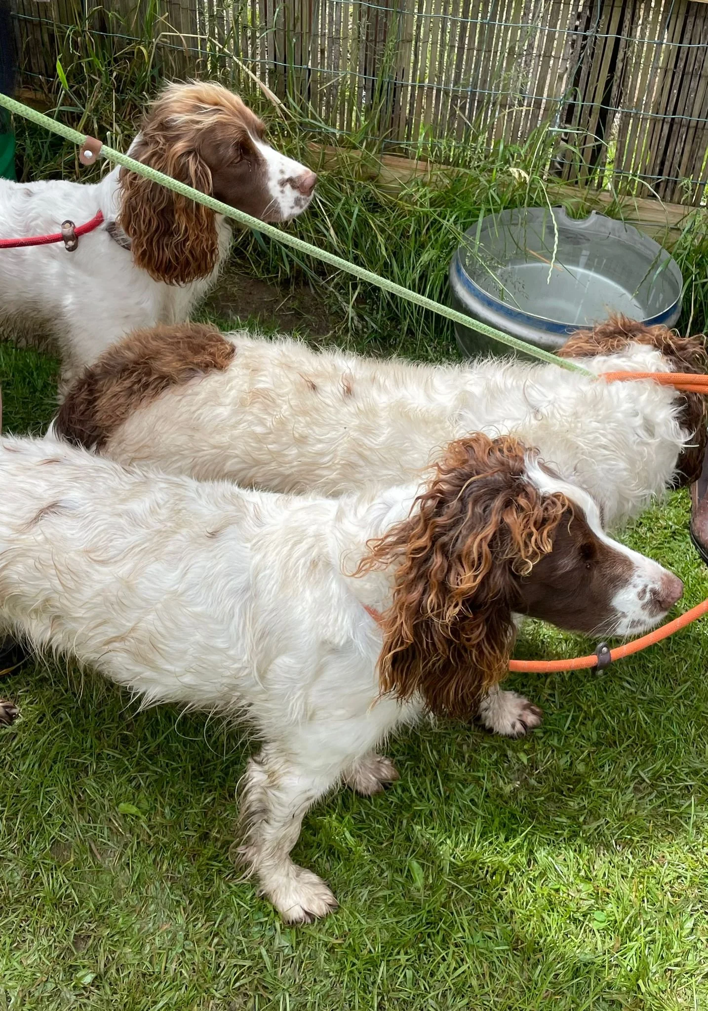 WhatsApp Image 2024-05-26 at 20.16.08 (1).jpeg