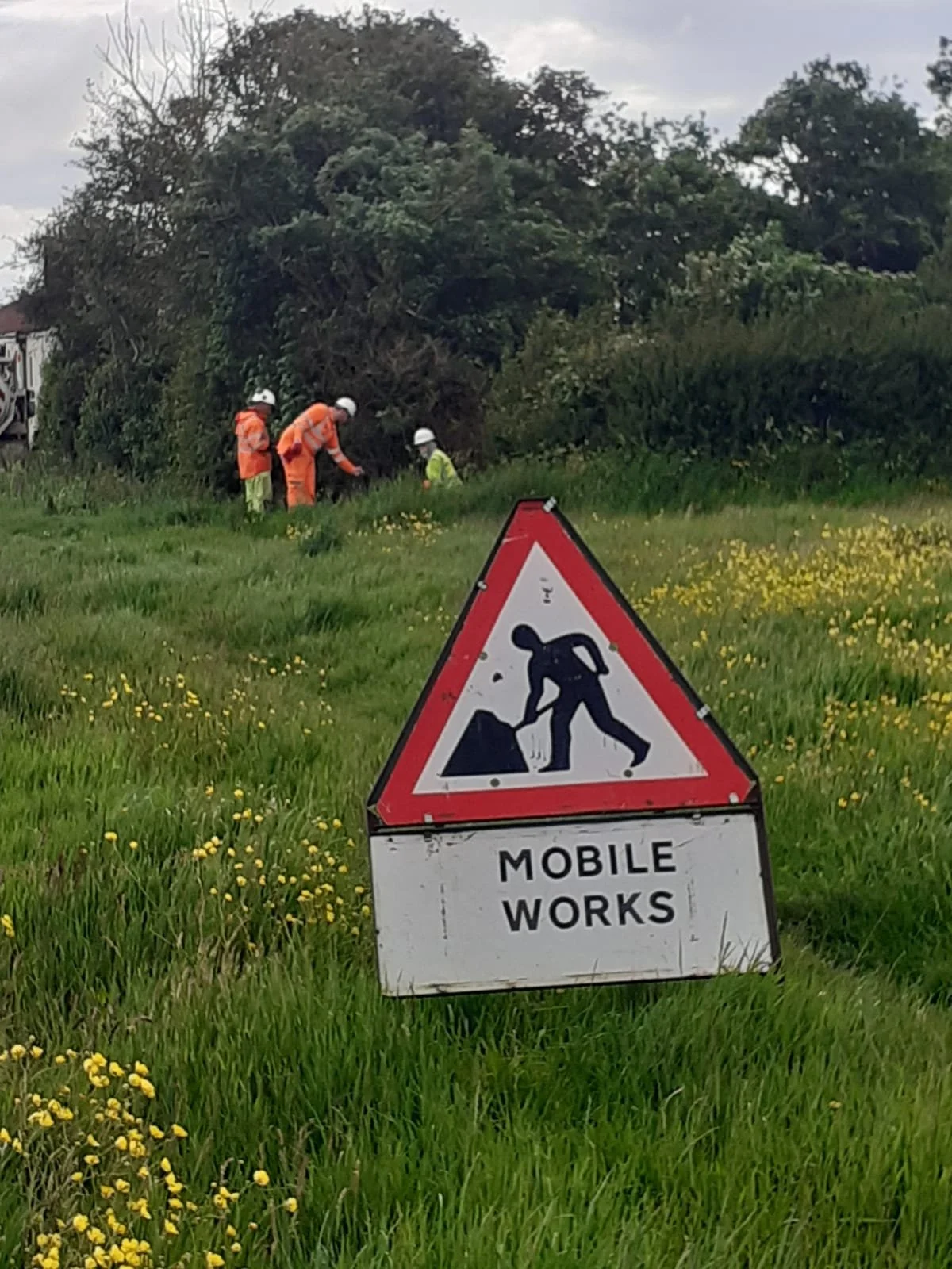 WhatsApp Image 2024-05-30 at 16.52.54 (1).jpeg