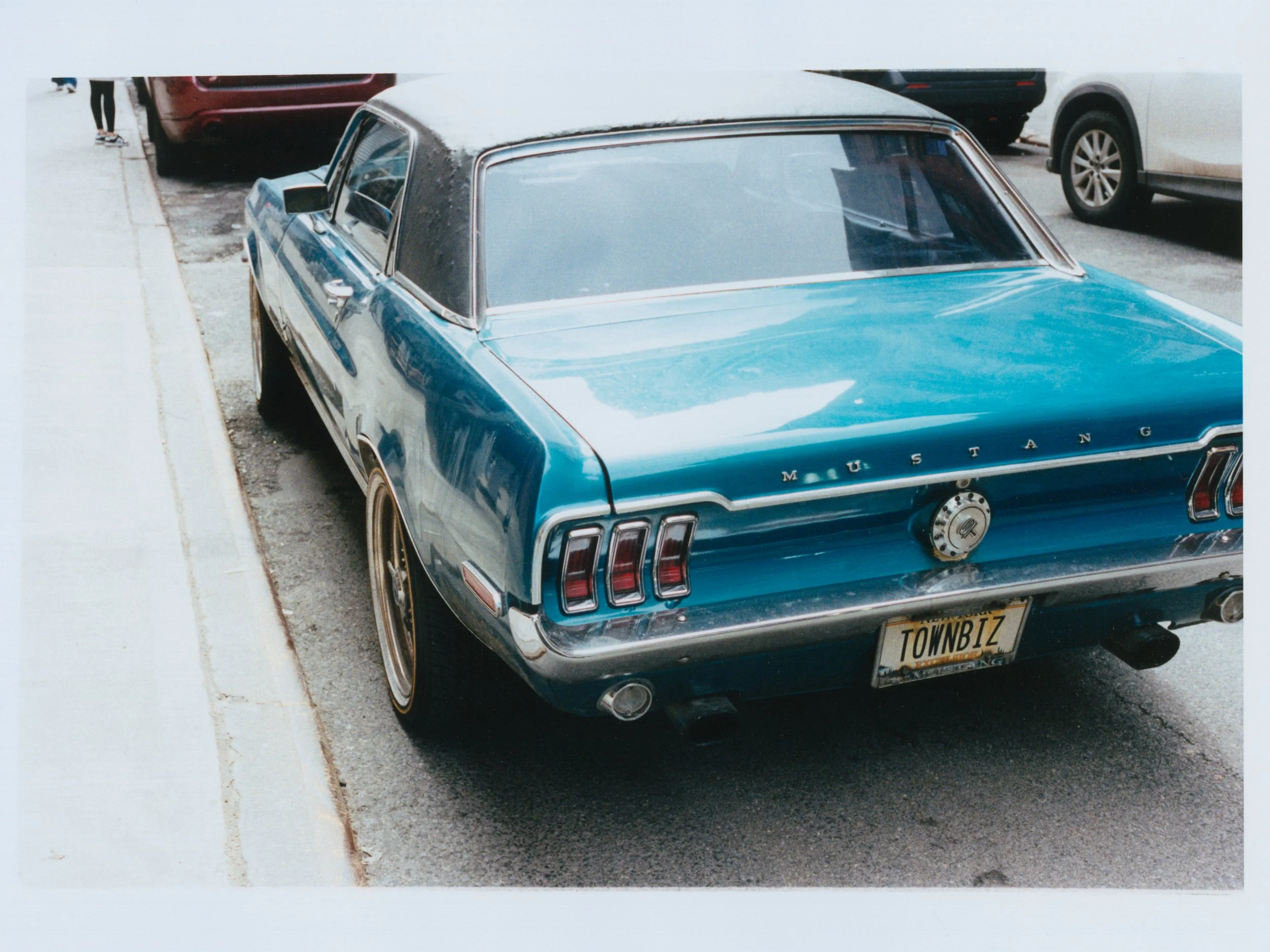 MUSTANG.jpg