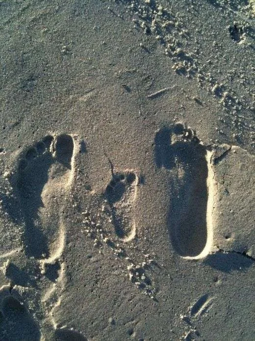 Footprints in the sand at the beach.