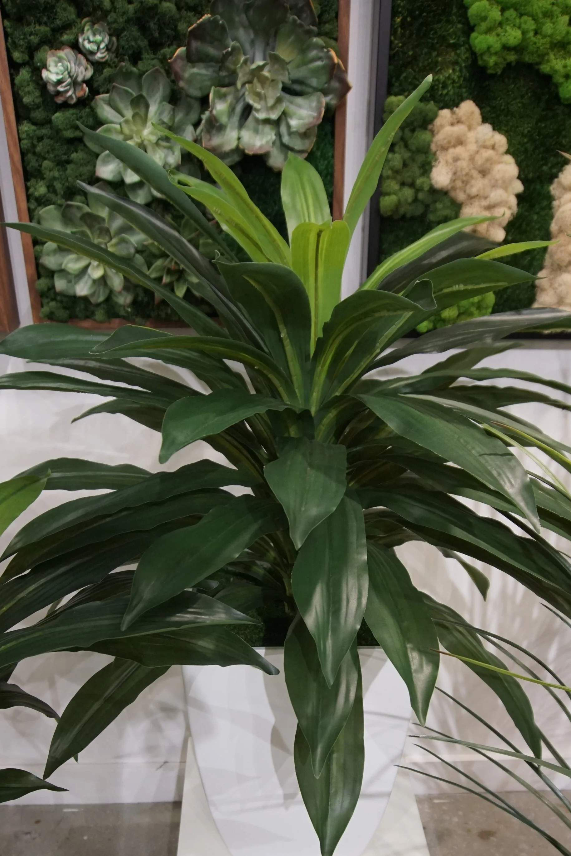 Not So Green Thumb…