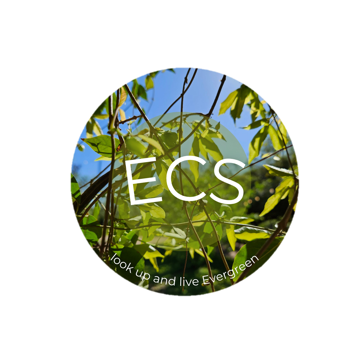 Evergreen Counseling Services, LLC