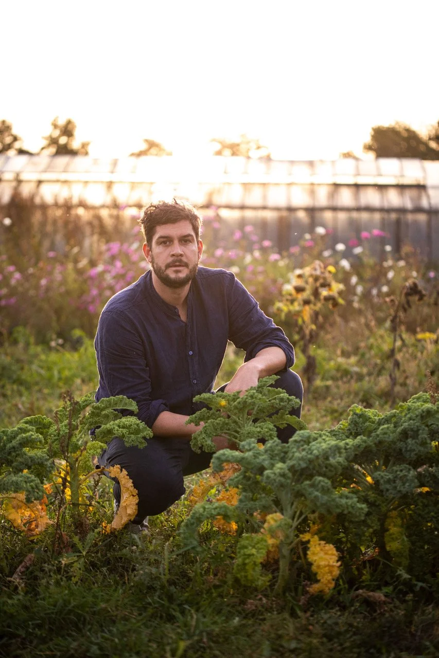 Herbst im Garten David Seitz jpg.jpeg