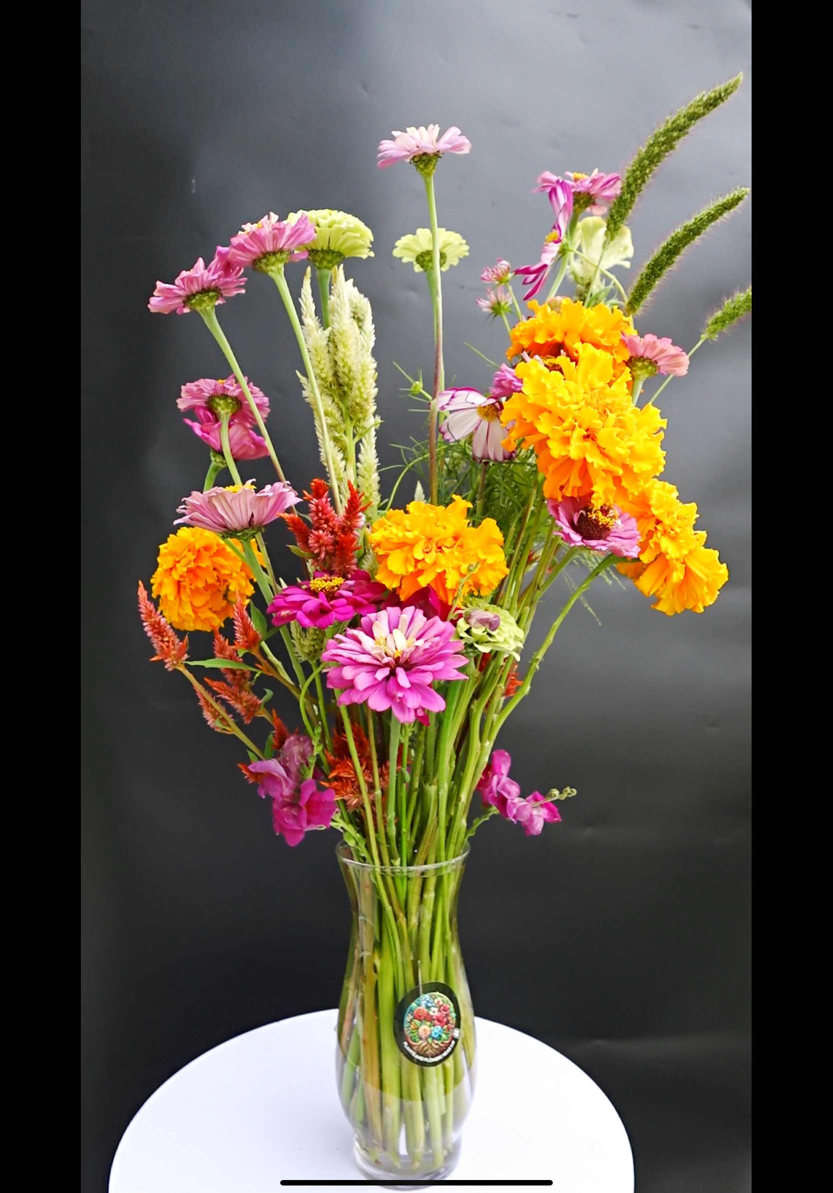 IMG_2823.png