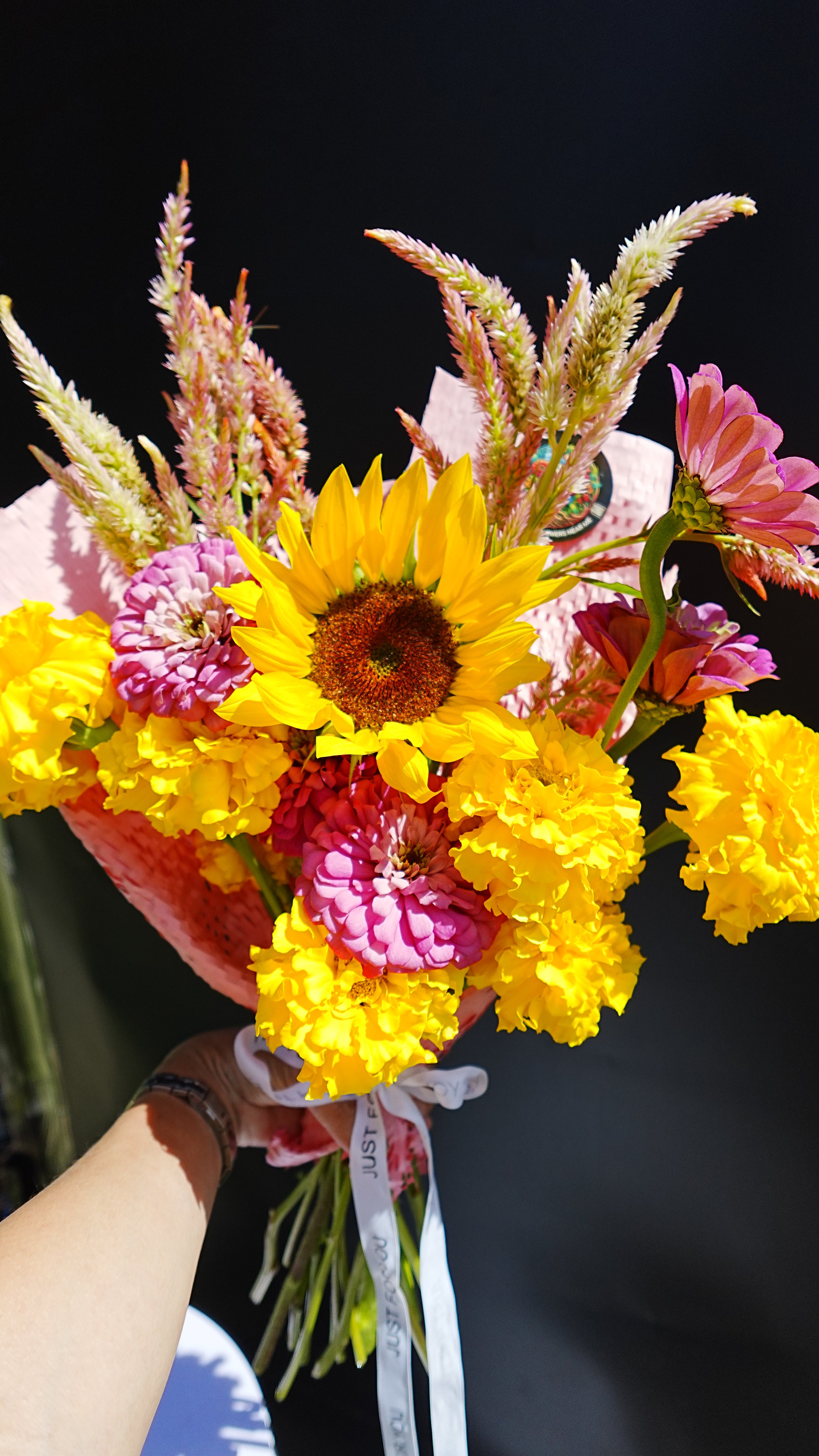 DSC01774.JPG