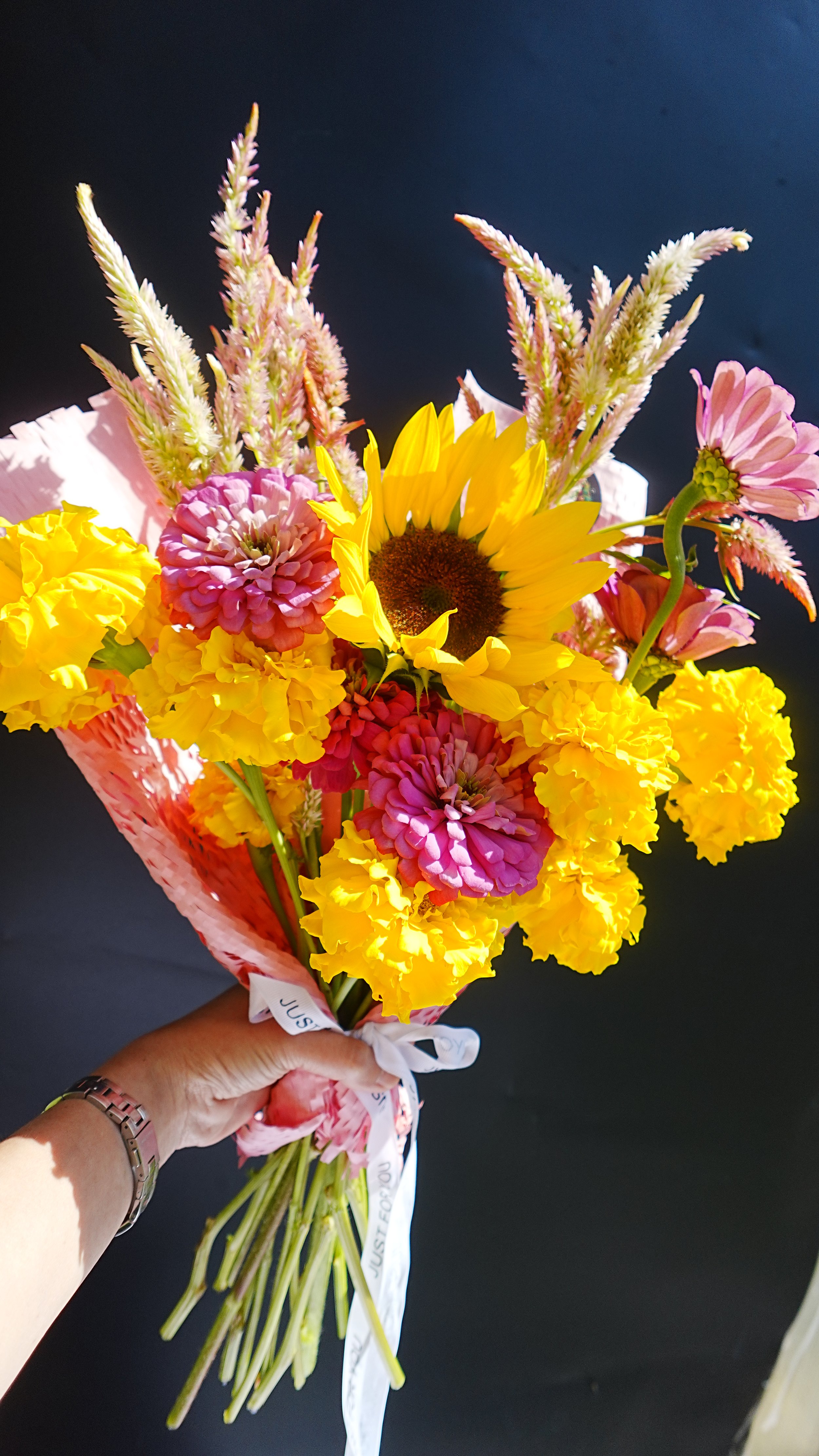 DSC01770.JPG