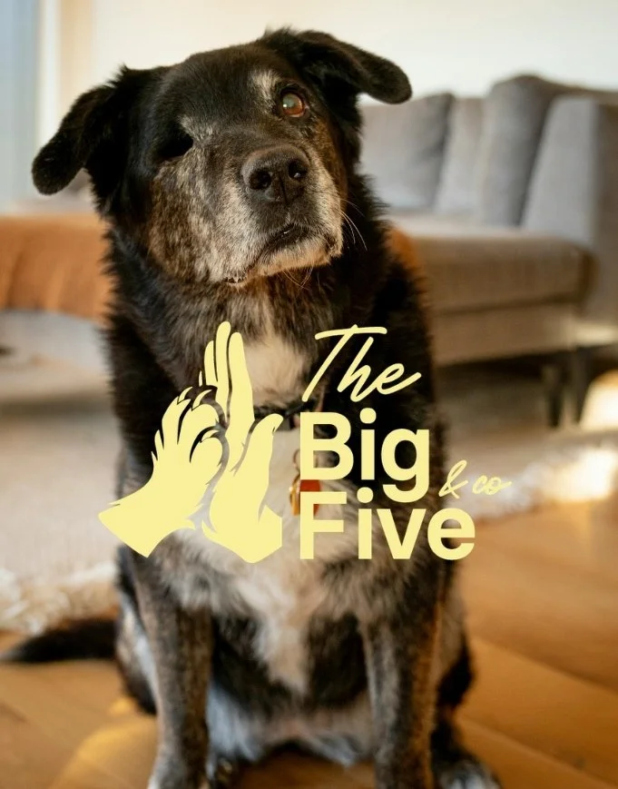 The Big Five & Co