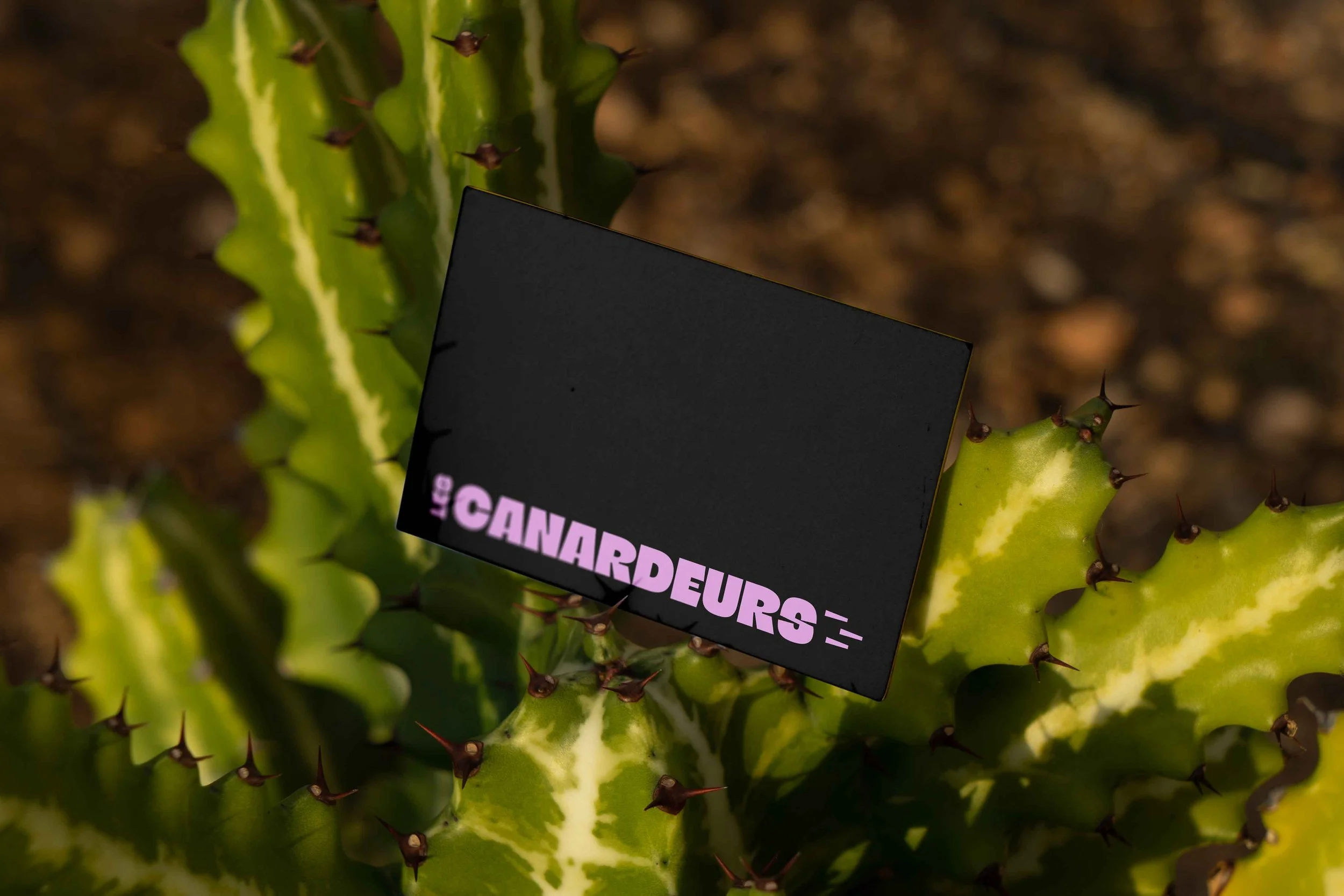 Free-Business-Card-Among-Cactus-Mockup.jpg