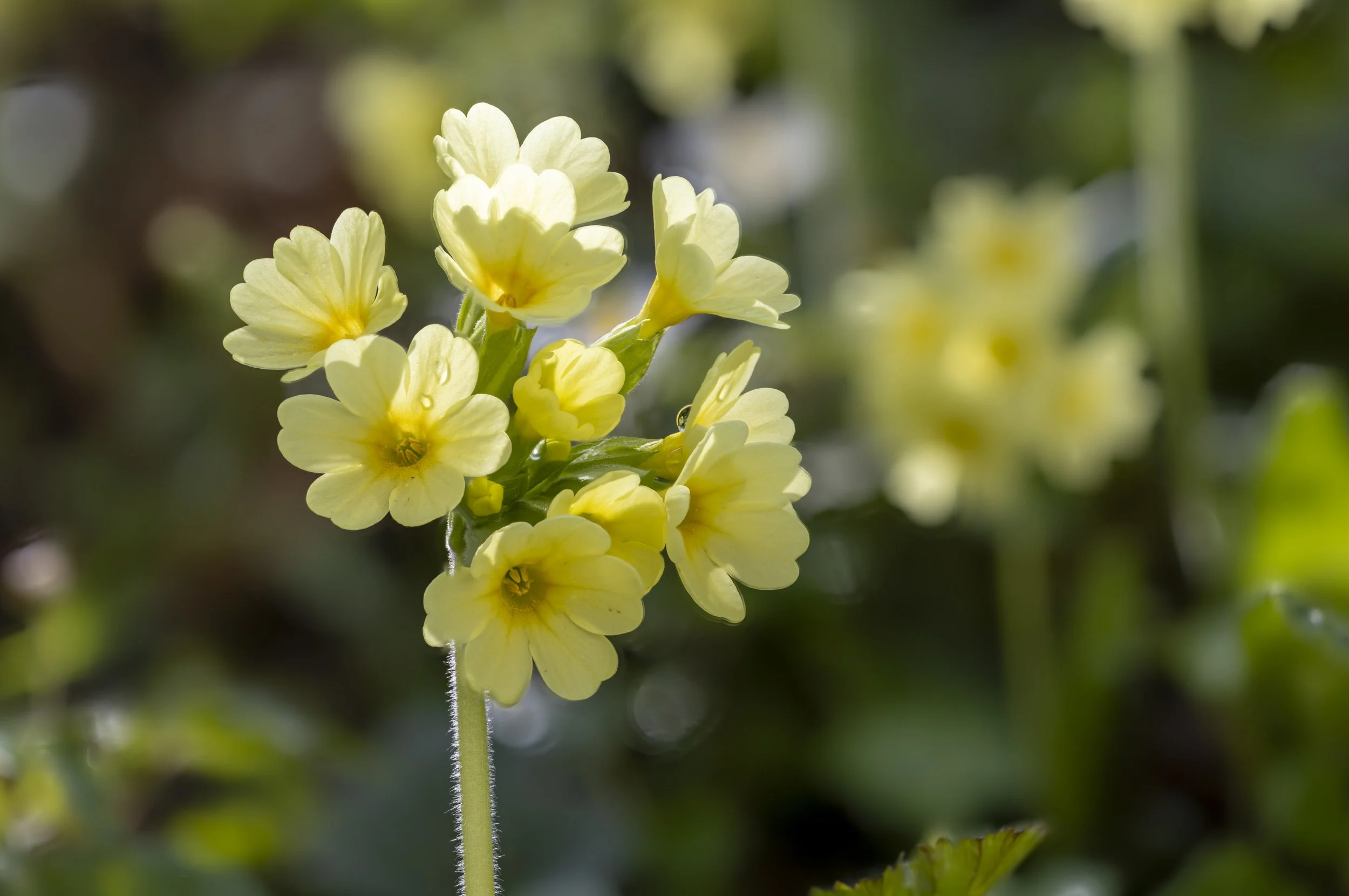 2026-04-06 16-00-34 (A,R8,S4).jpg