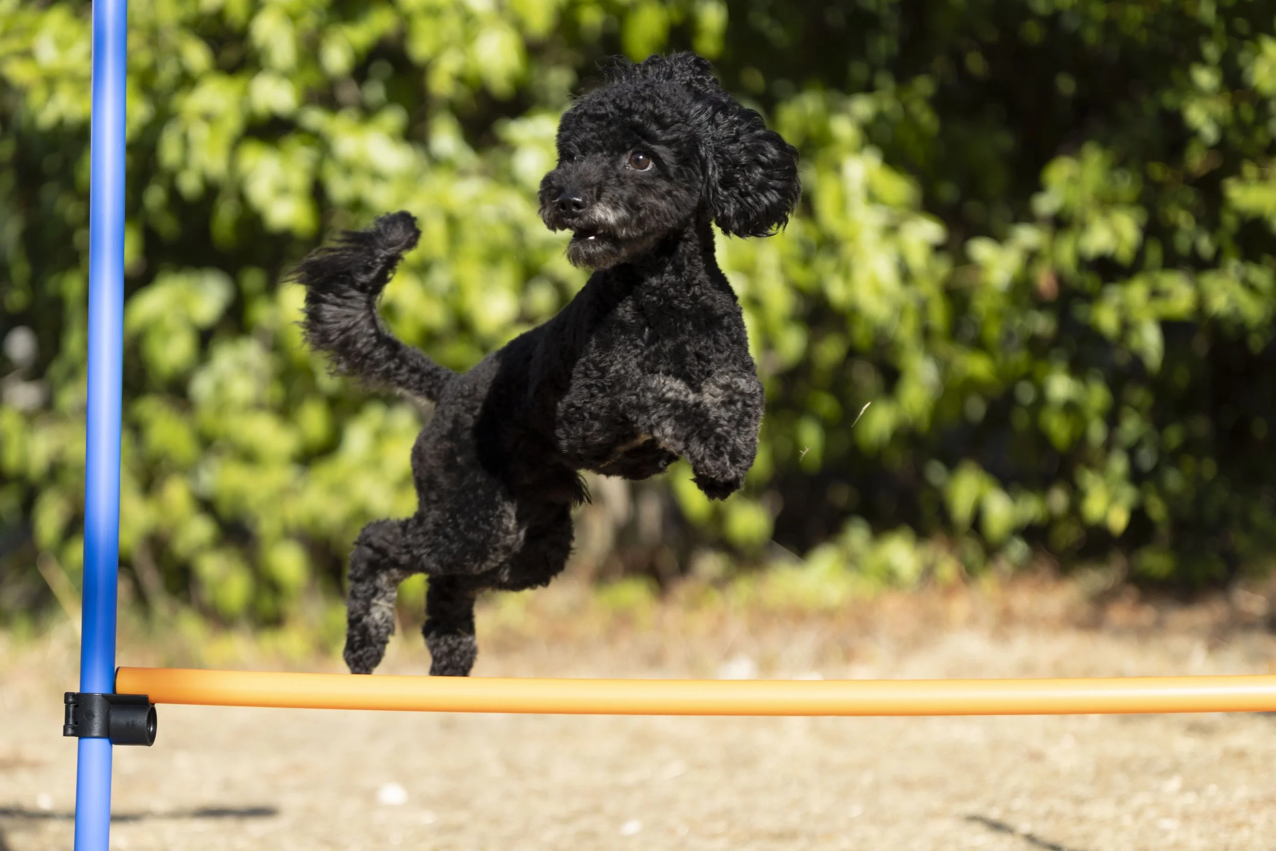 AGILITY