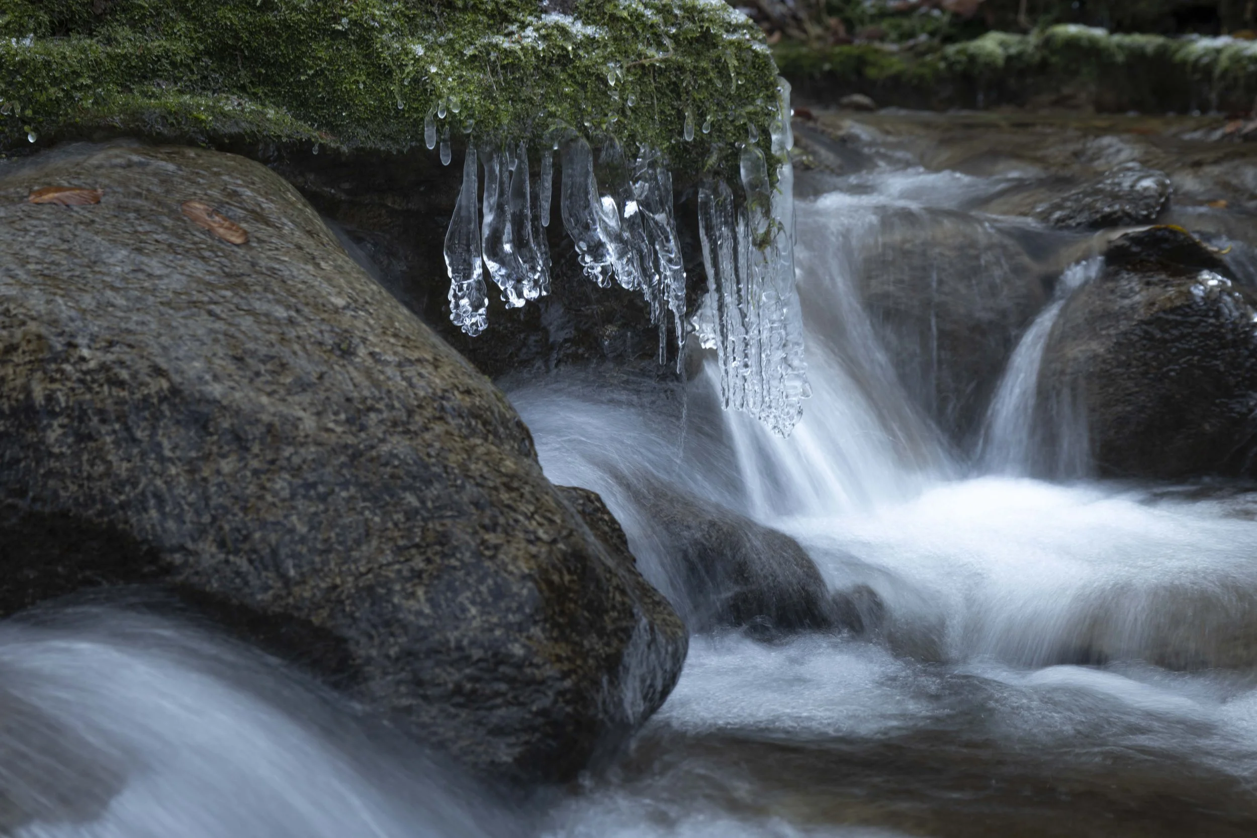EISZAPFEN IM BACHLAUF