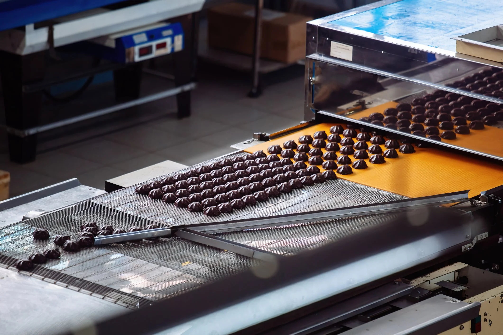 Chocolate truffles lined up on a production line