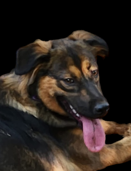 Sasha - Black.png