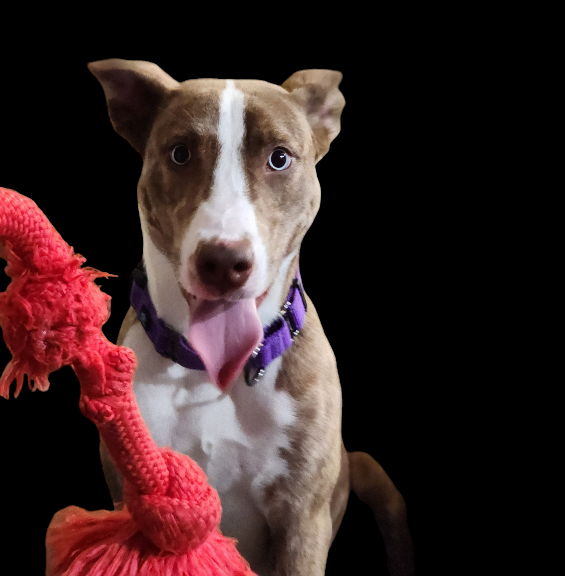 Token - Black with Rope - 2.png