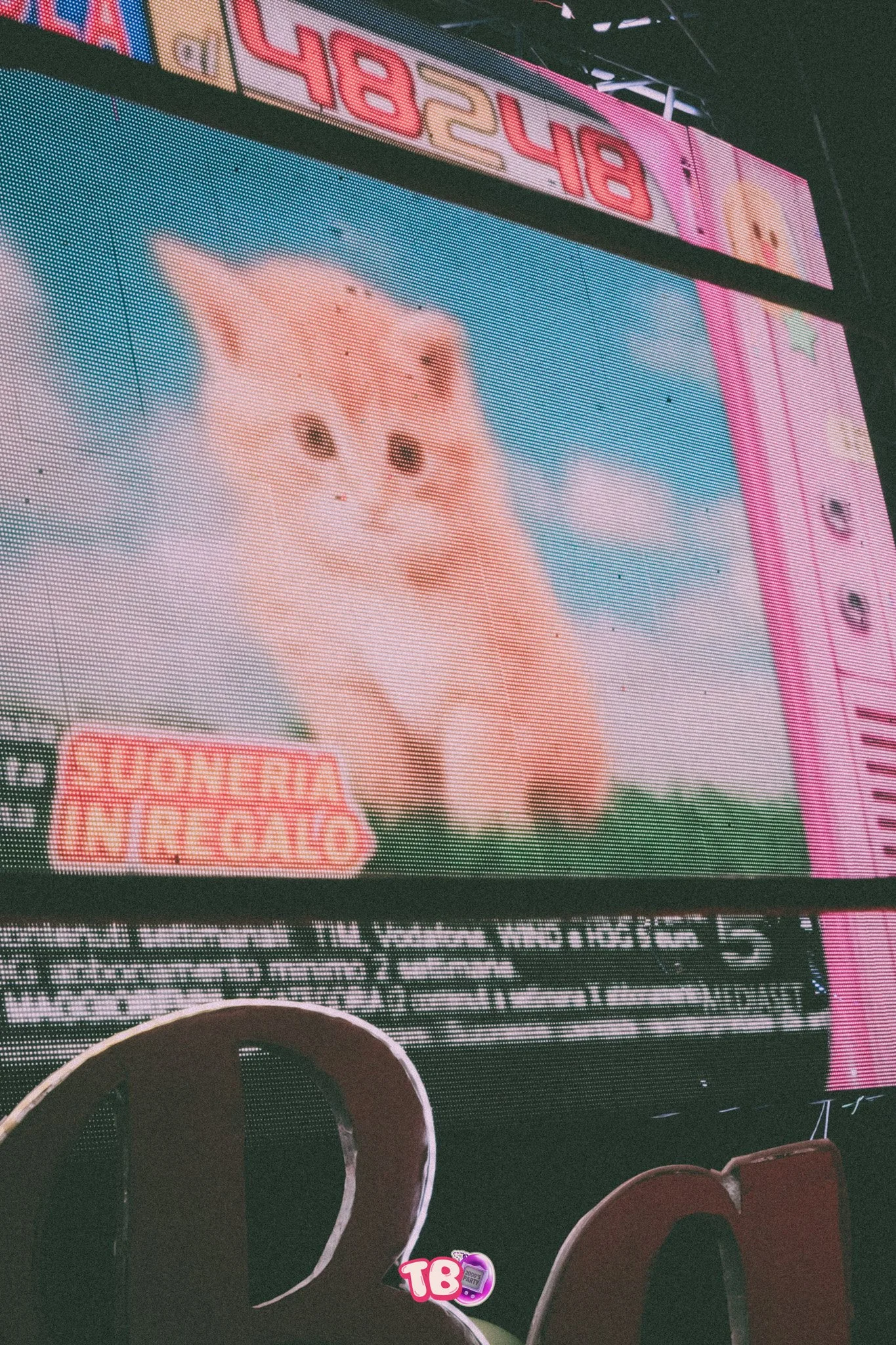 26.08.27 throwback a-028.jpg