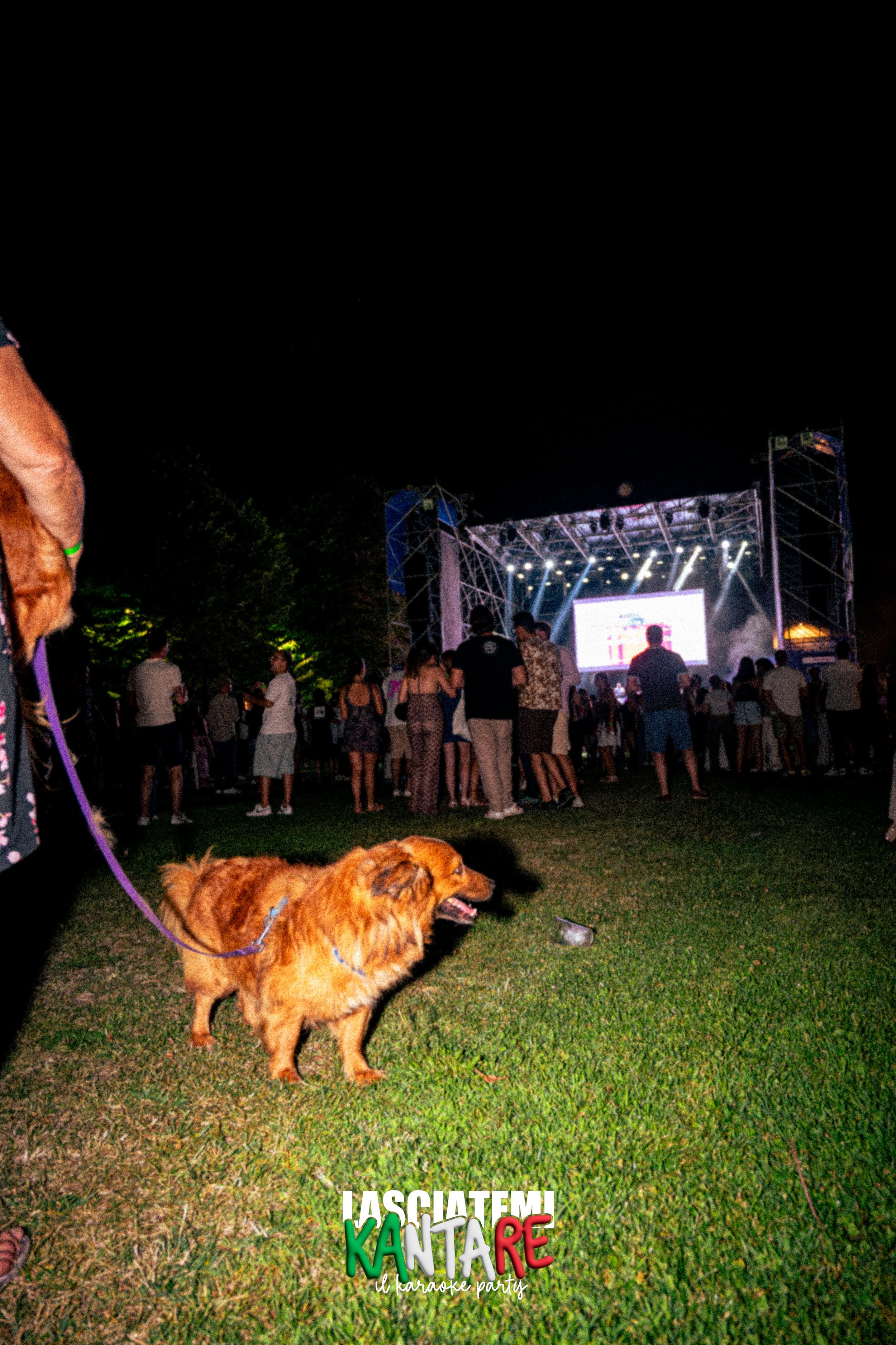 26.07.18 lk mediceo - a-57.jpg