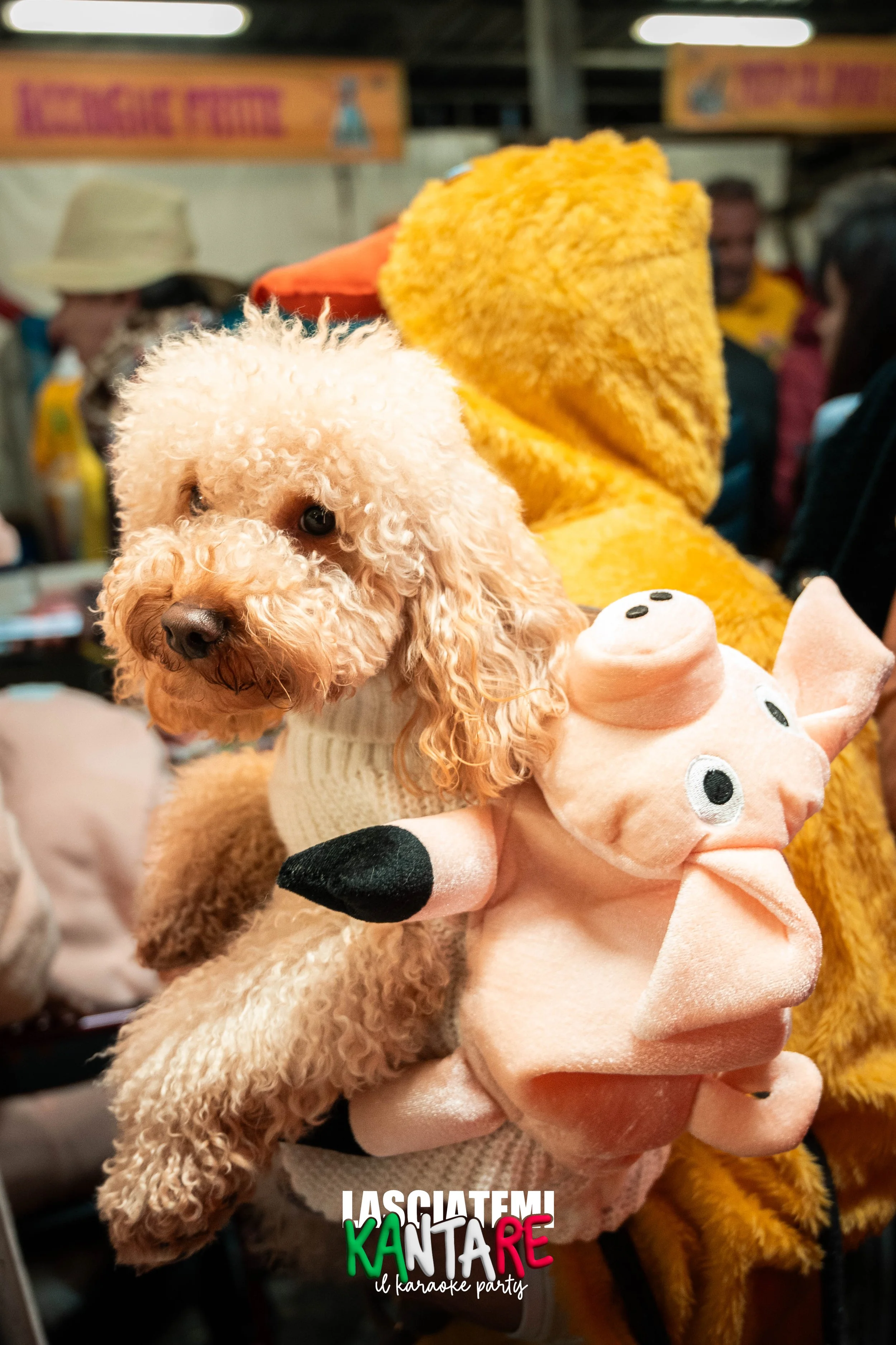 26.02.17 lasciatemikantaredarsena a-2.jpg