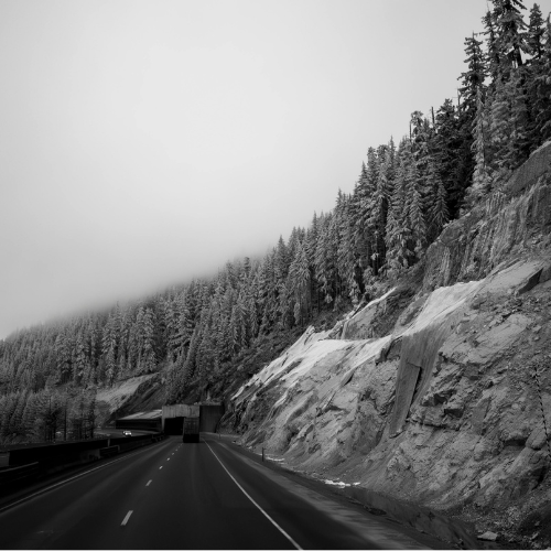 daring to live in the direction of what wants to unfold