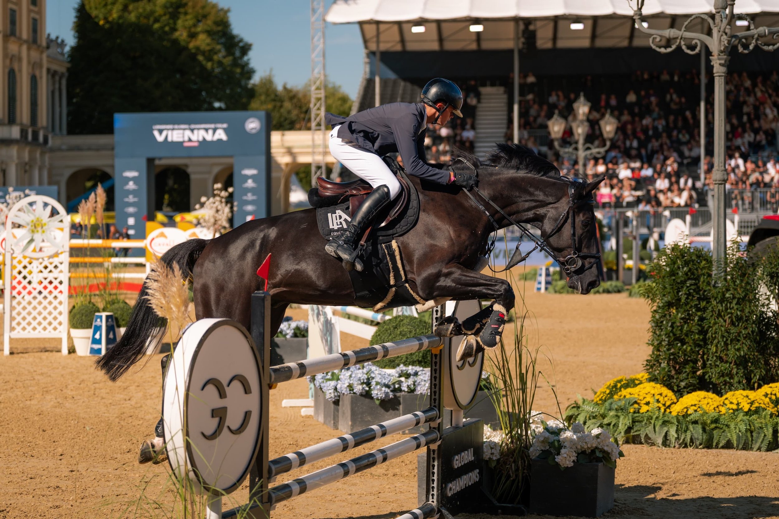Rappe springt über ein Hindernis bei der Longines Global Champions Tour vor Schloss Schönbrunn in Wien
