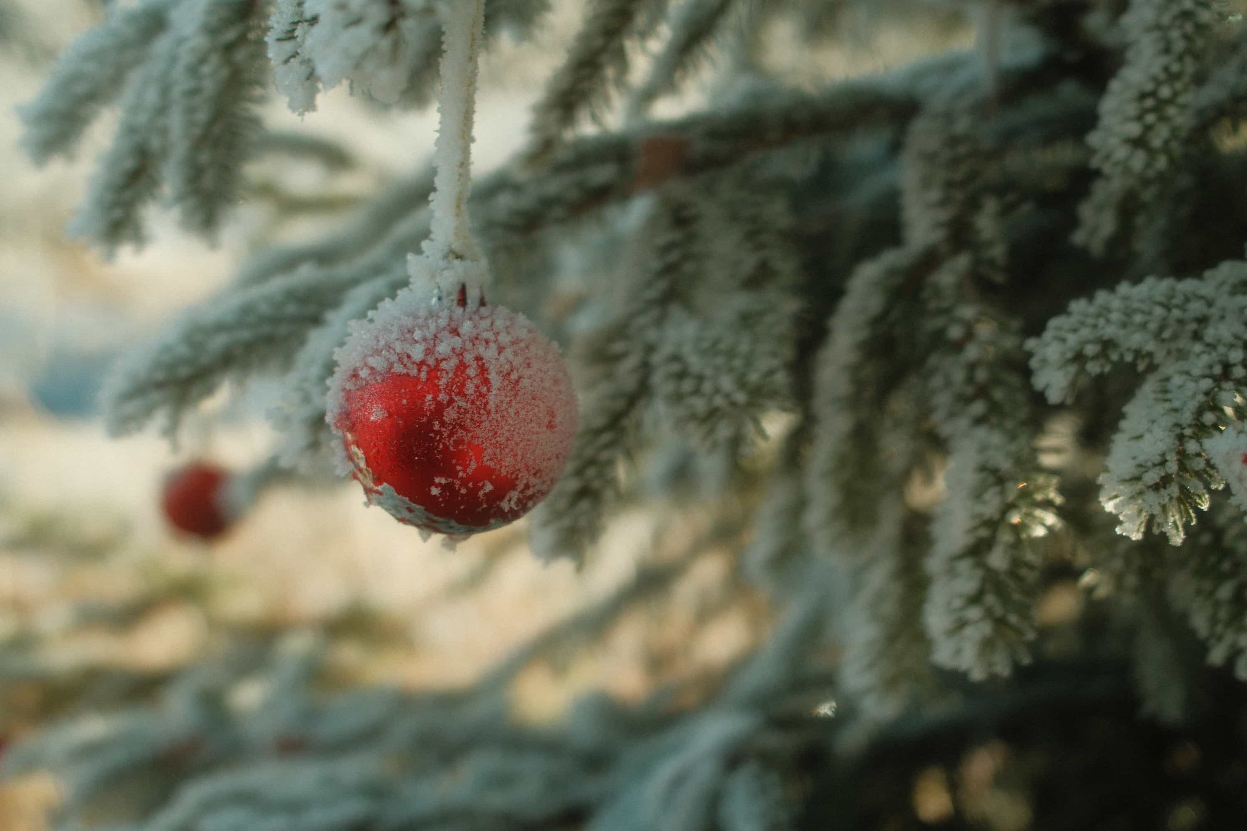 Rote Weihnachtskugel mit Raureif auf Tannenzweig – winterliche Naturaufnahmen von Markus Mittermayer