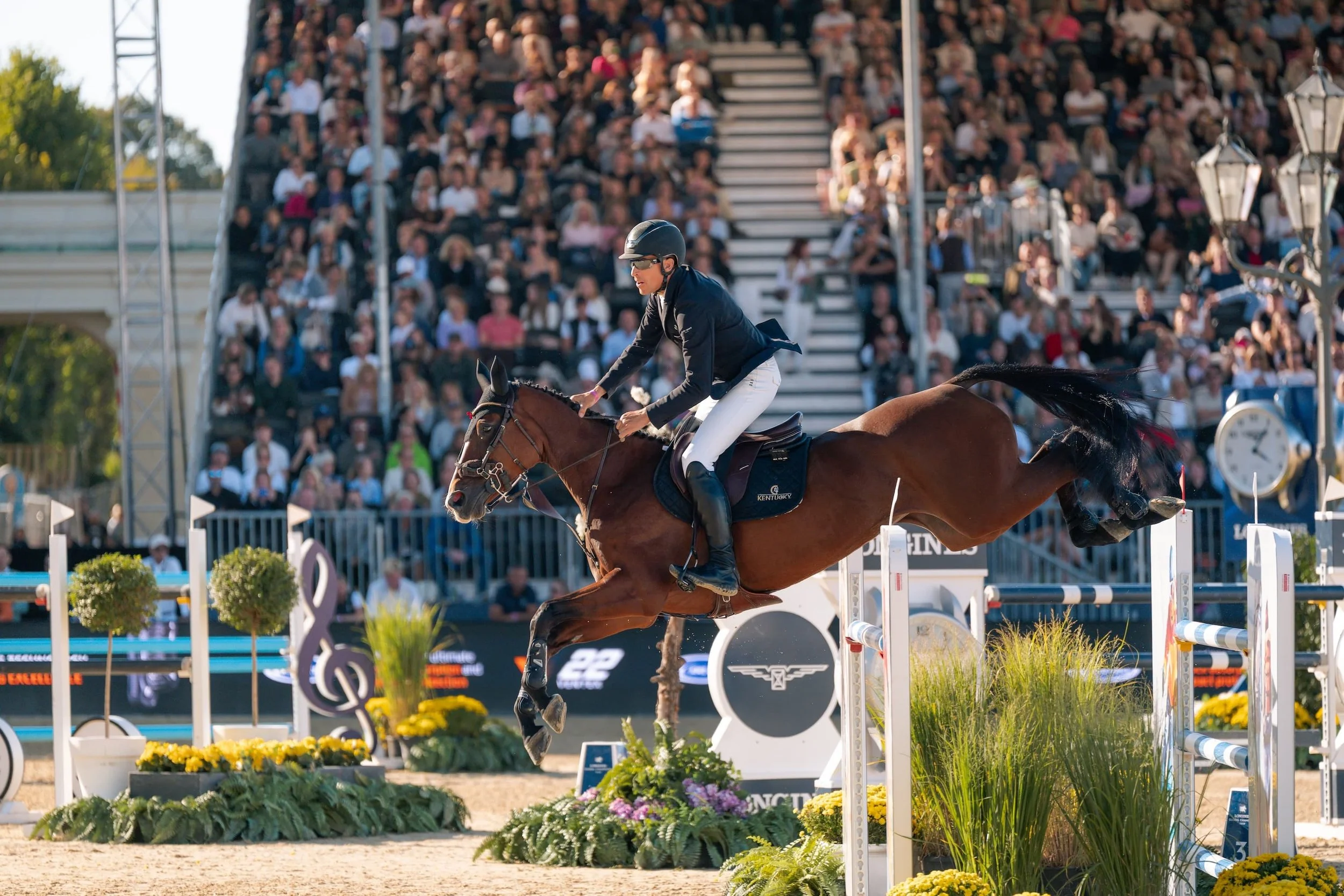 Brauner im Sprung vor vollbesetzter Tribüne bei der Longines Global Champions Tour in Wien - Pferdefotografie
