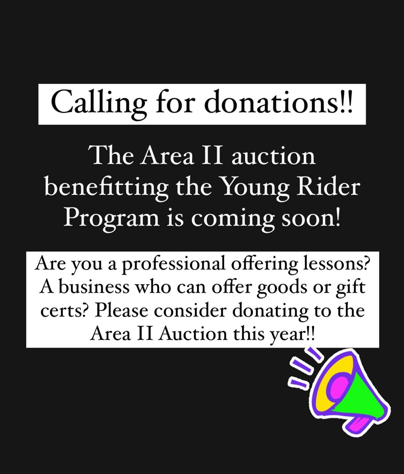 The Area II Auction is upon us! Considered the Black Friday of event entries, the auction also boasts lessons, schooling, gift certs, and handmade items! 

If you have the ability to donate to the Young Riders fundraising efforts this year, we can ac
