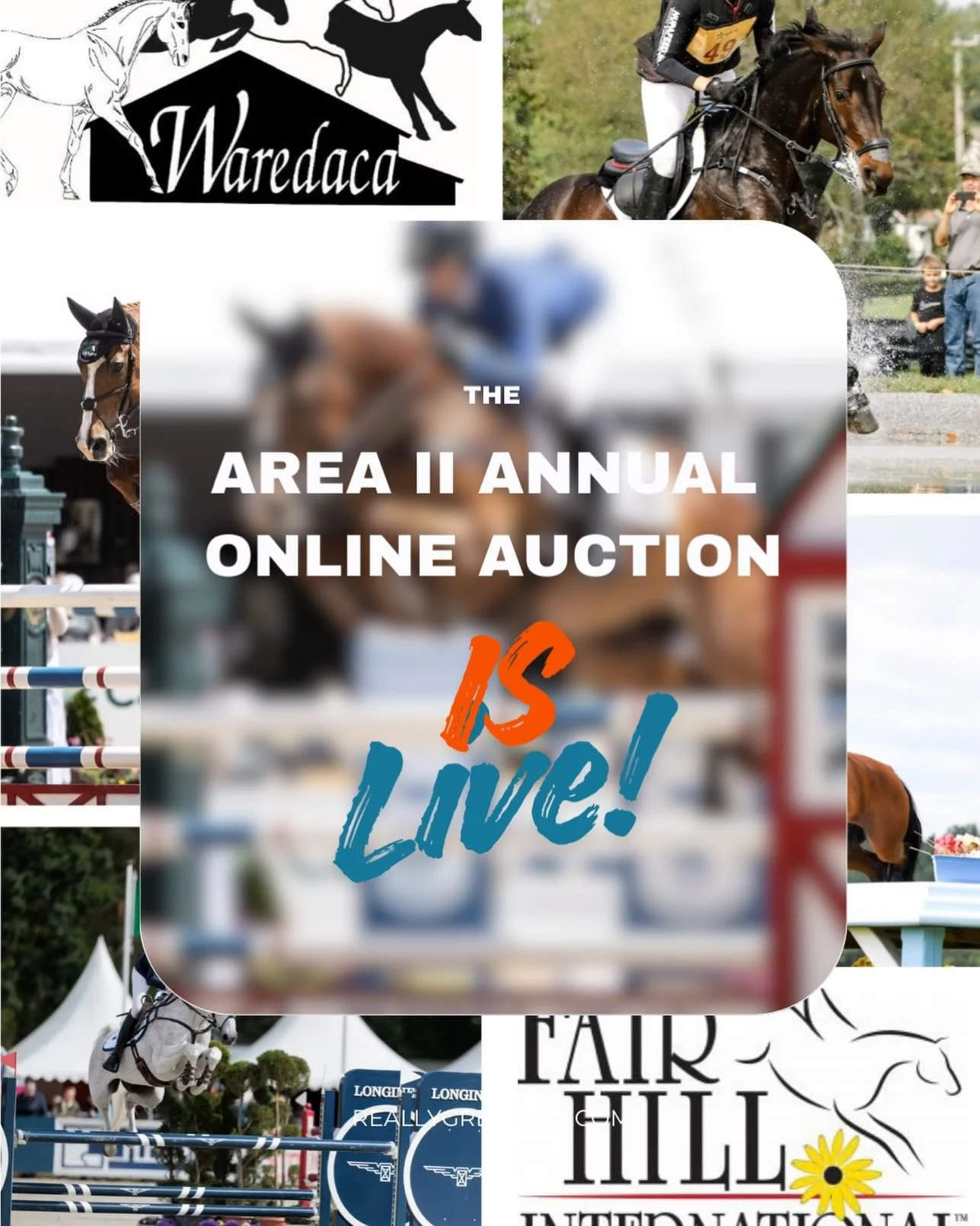 It&rsquo;s here!!!! [link in profile!] Our traditional &ldquo;Black Friday&rdquo; auction of entries (plus lessons with more 5* riders than you can count on all fingers and toes) is live just in time for the holidays. All proceeds support the Young R