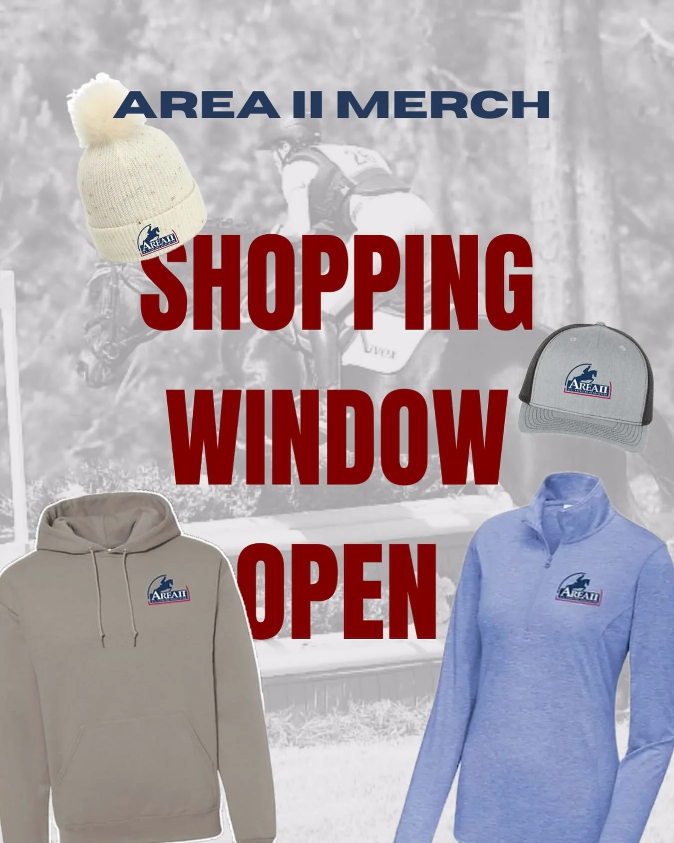 🚨TWO WEEKS ONLY!!🚨 The Area II Merch site is open until January 26 at midnight! We&rsquo;ve got some new items and repeats from last sale. Link in profile!