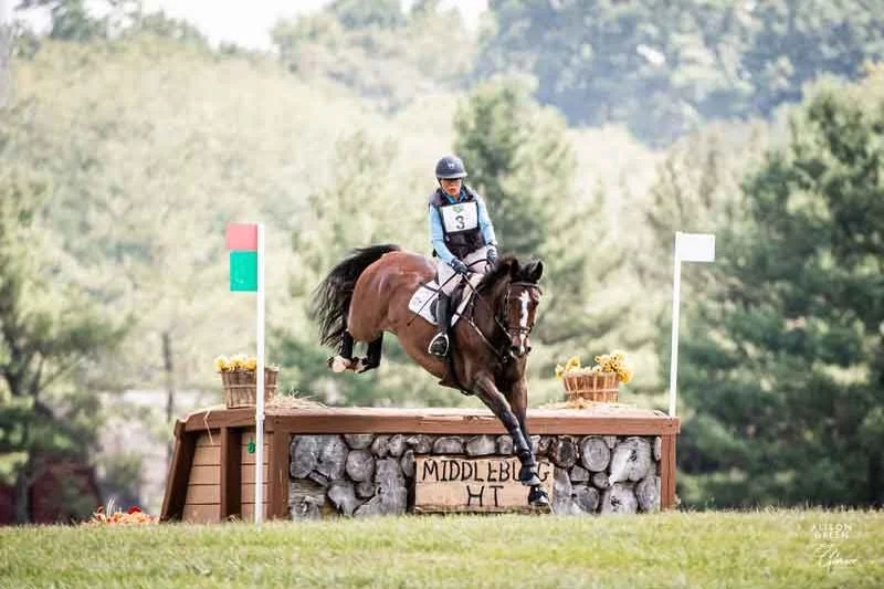 USEA Area II Members - Middleburg Horse Trials is looking for volunteers for this weekend&rsquo;s recognized event:

Volunteers are our most valuable asset as we can&rsquo;t hold events without them. We have open jobs we need filled including a dress