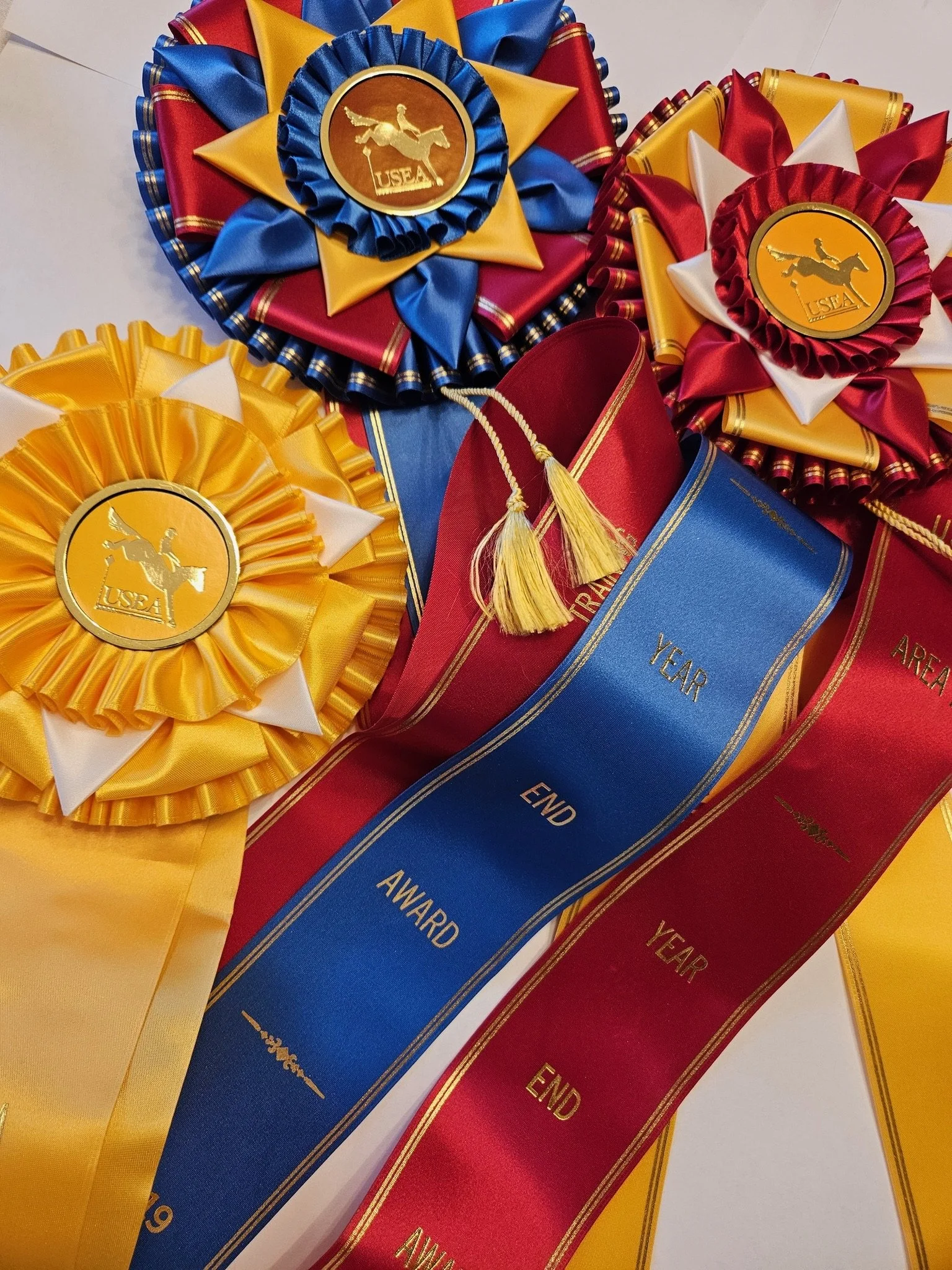 USEA Area II Volunteer Appreciation and Year End Awards Celebration