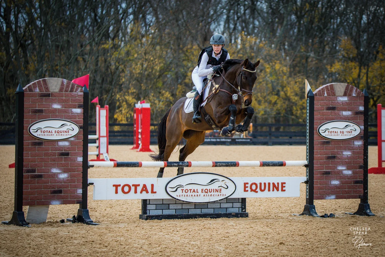 Adult Rider Program — Welcome to USEA Area II