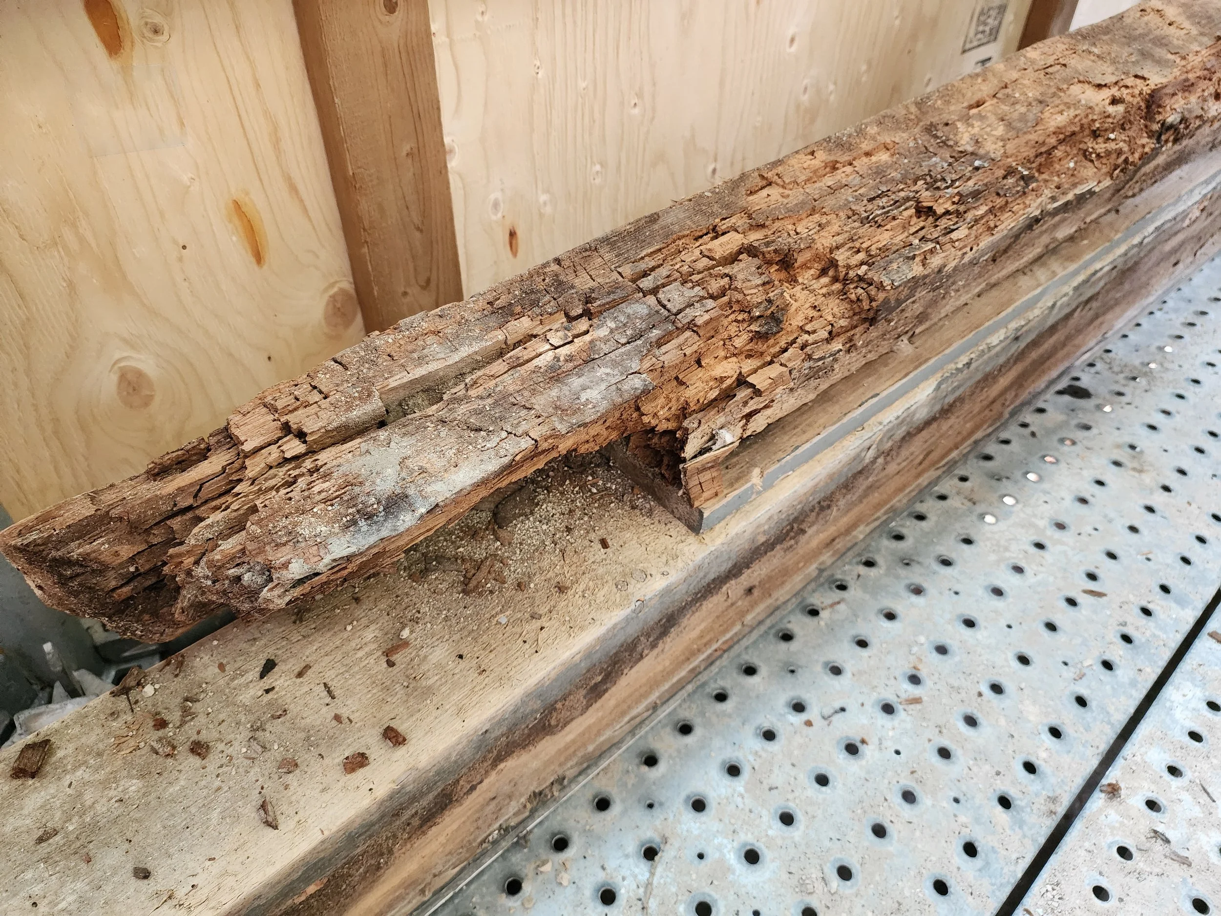 macdonell-williamson-house-deteriorated-sill.jpg