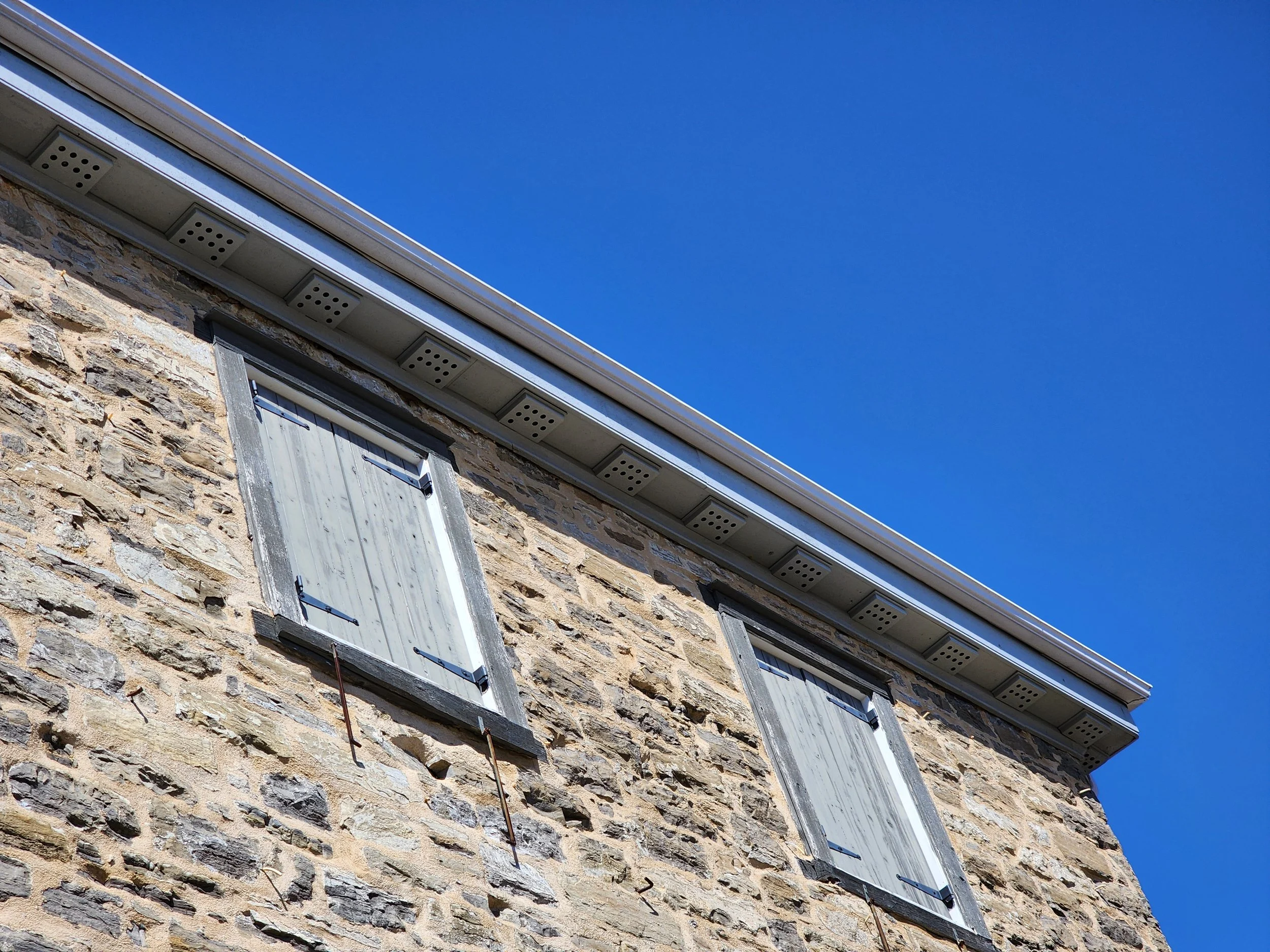 macdonell-williamson-house-windows.jpg