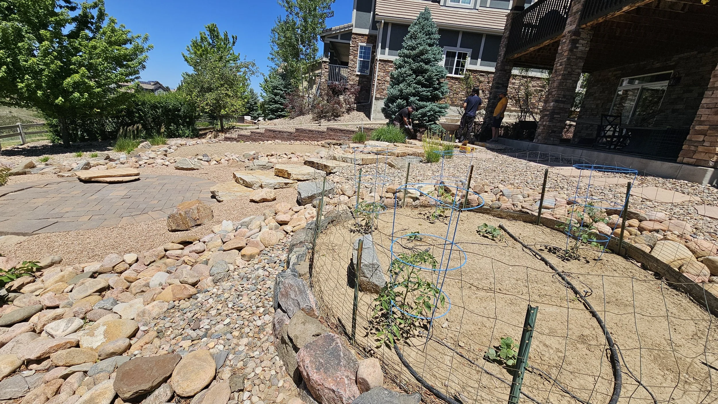 Landscaping - Before