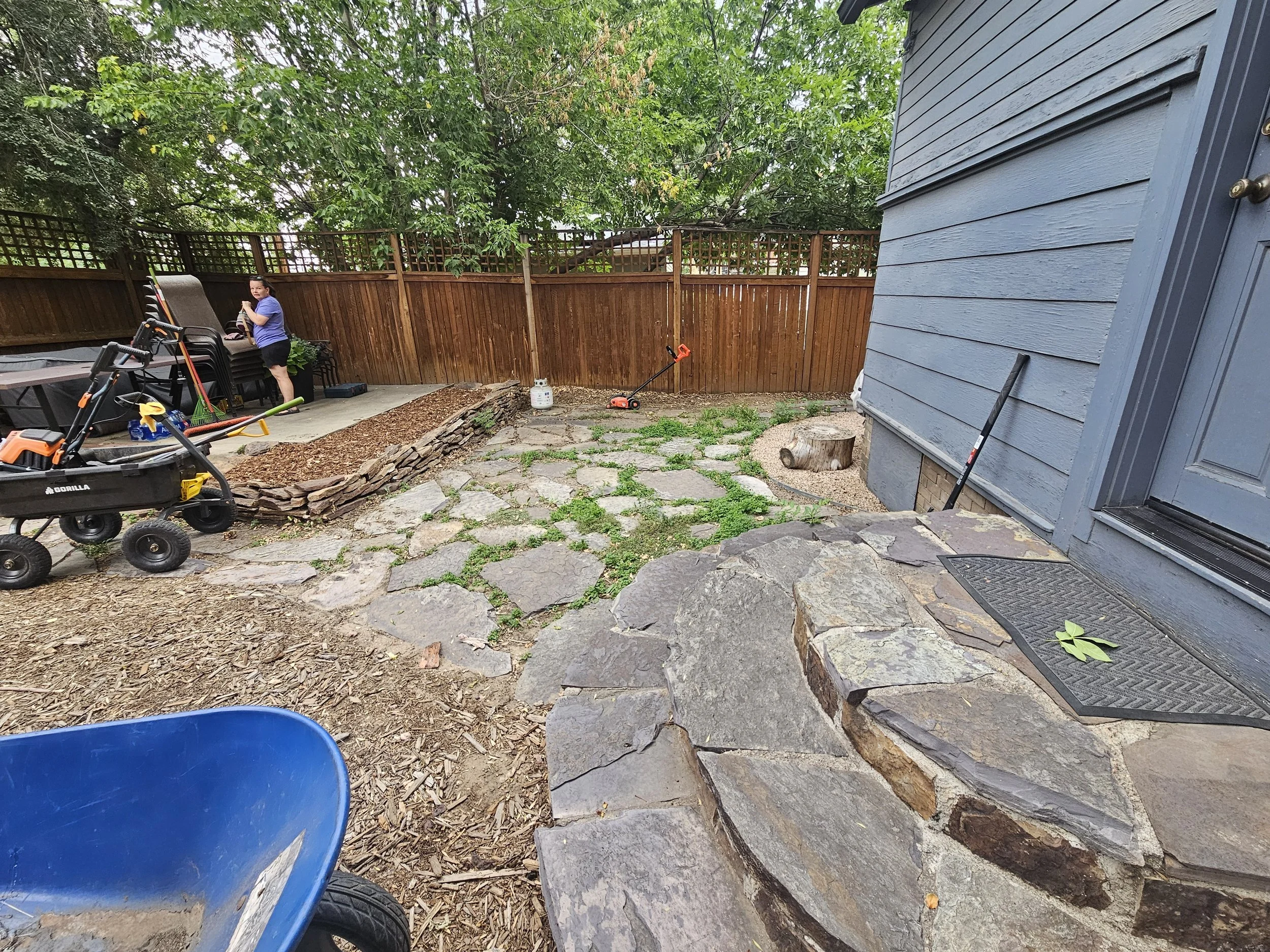 Backyard Refresh - Before
