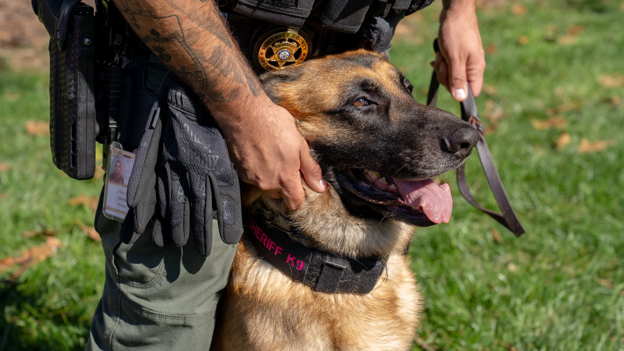 Breast Cancer Awareness