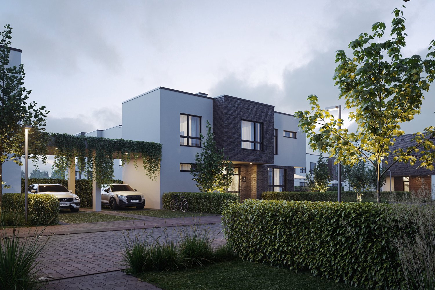 Lypovy Rosu Townhouses — visualization 3