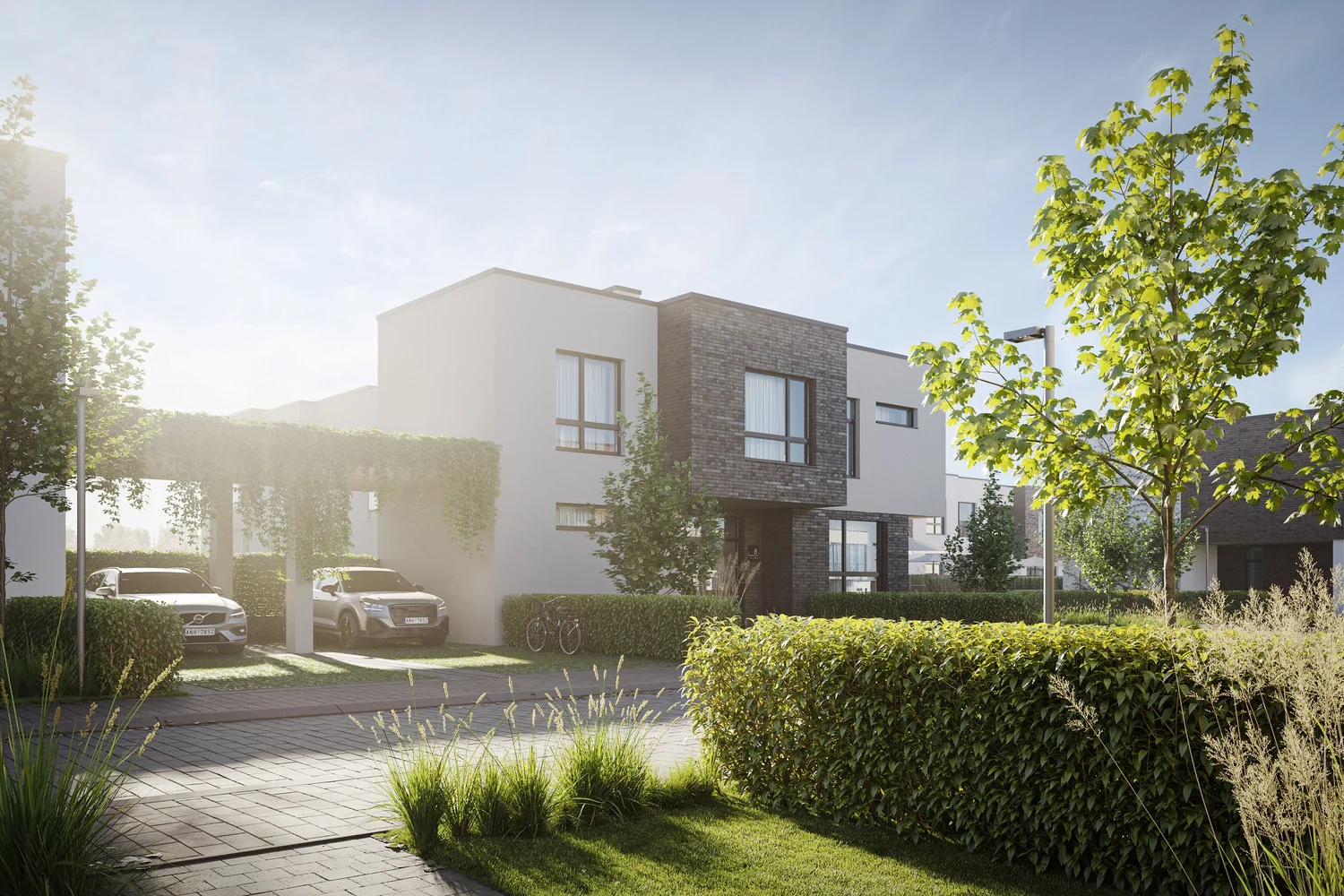 Lypovy Rosu Townhouses — visualization 7