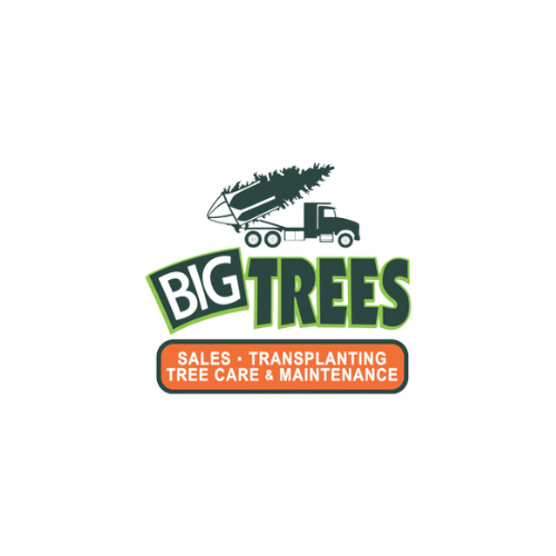 Logo for Big Trees, featuring a dump truck carrying a large pine tree, with text promoting sales, transplanting, tree care, and maintenance services.