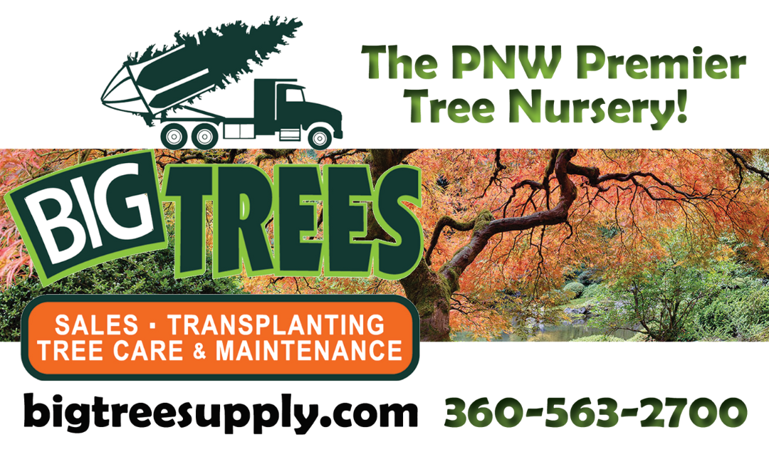 Logo for Big Trees, featuring a dump truck carrying a large pine tree, with text promoting sales, transplanting, tree care, and maintenance services.