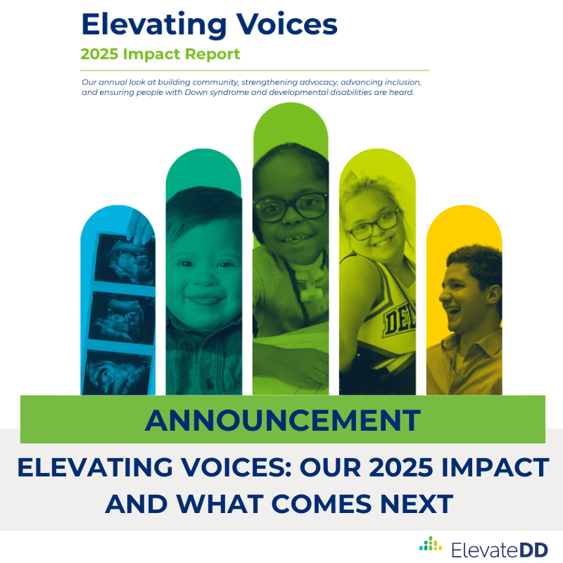 Image is a graphic that includes a photo of the cover of the report, and text that reads "Elevating Voices: Our 2025 Impact and What Comes Next"