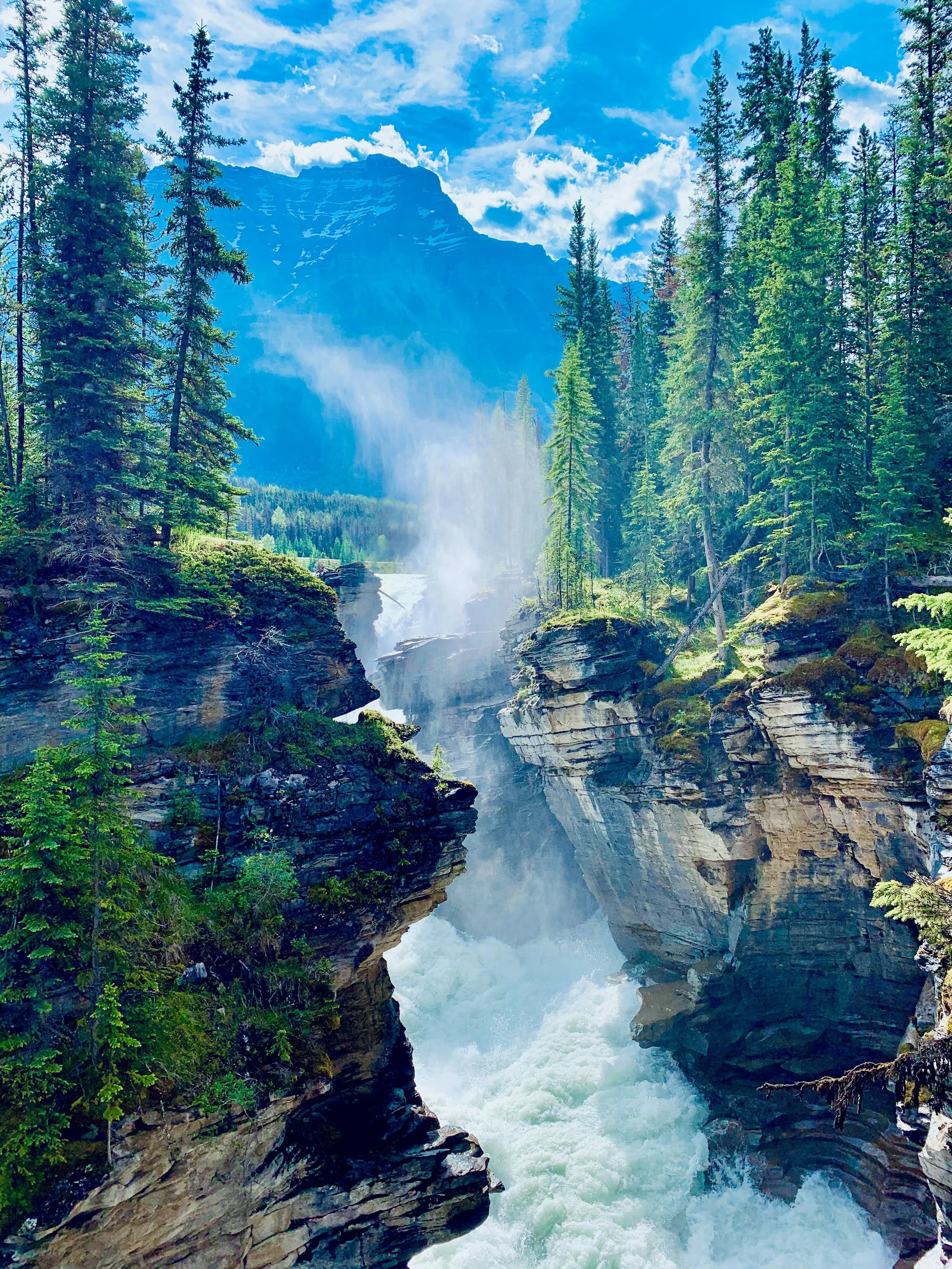 Athabasca Falls waterfall in Jasper National Park along the Banff to Jasper Icefields Parkway route